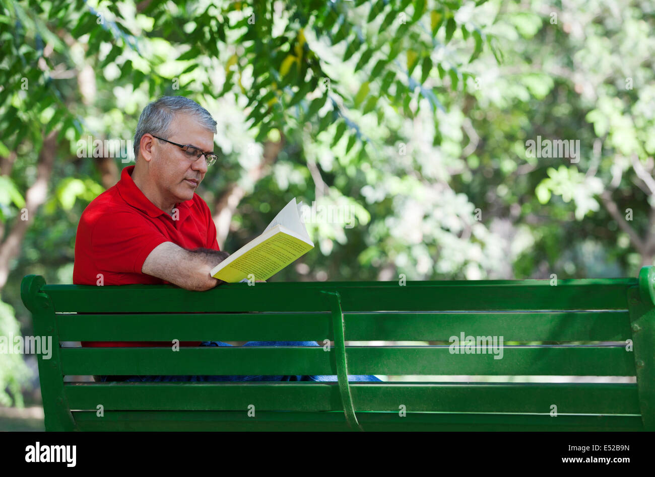 Senior uomo leggendo un libro in un parco Foto Stock