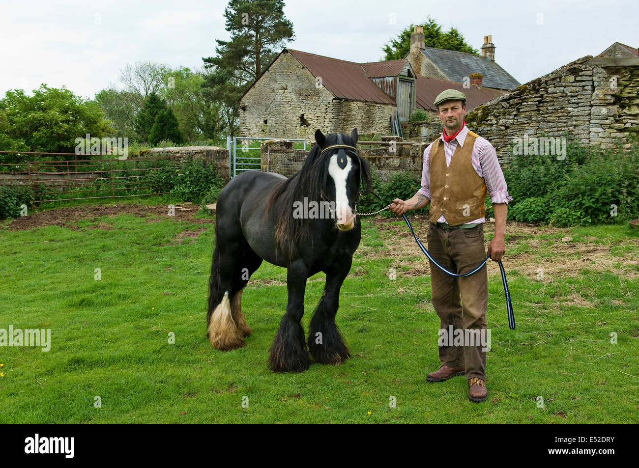 Lavoratore agricolo tenendo un cavallo su un leader rein. Foto Stock