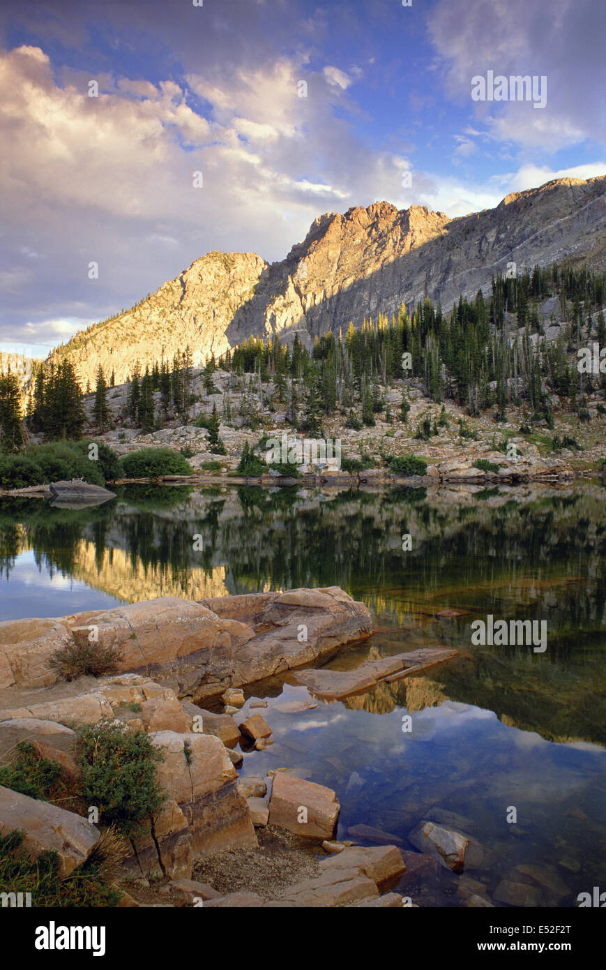 Vista dall'Albion bacino fondovalle di Wasatch Mountains e il paesaggio della foresta nazionale nello Utah. Foto Stock