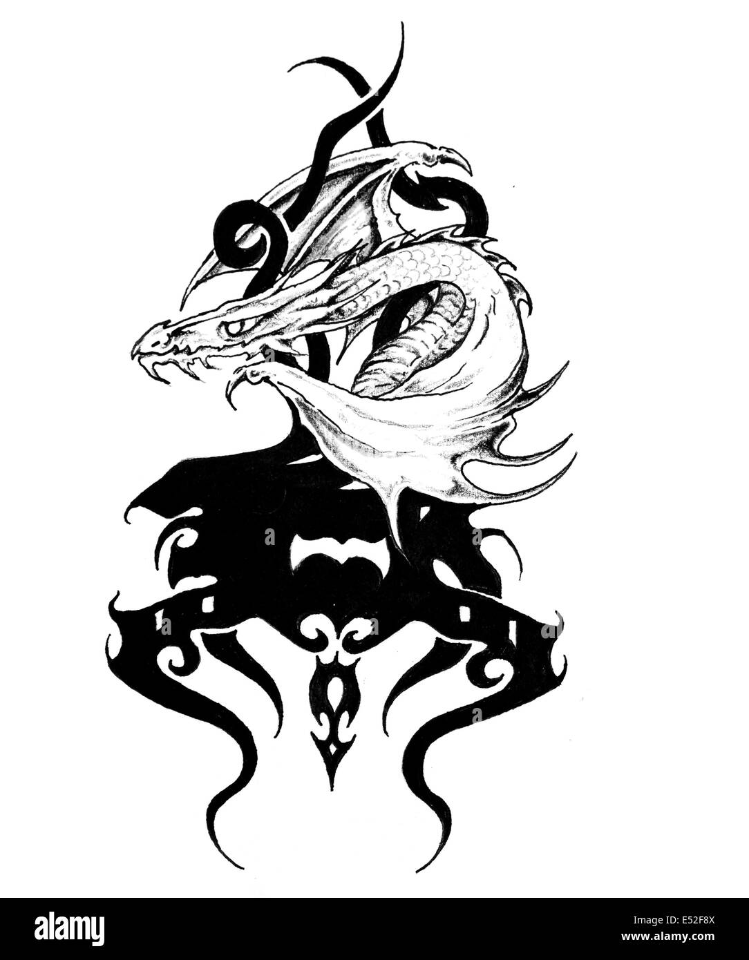 Schizzo di arte del tatuaggio, dragon Foto Stock