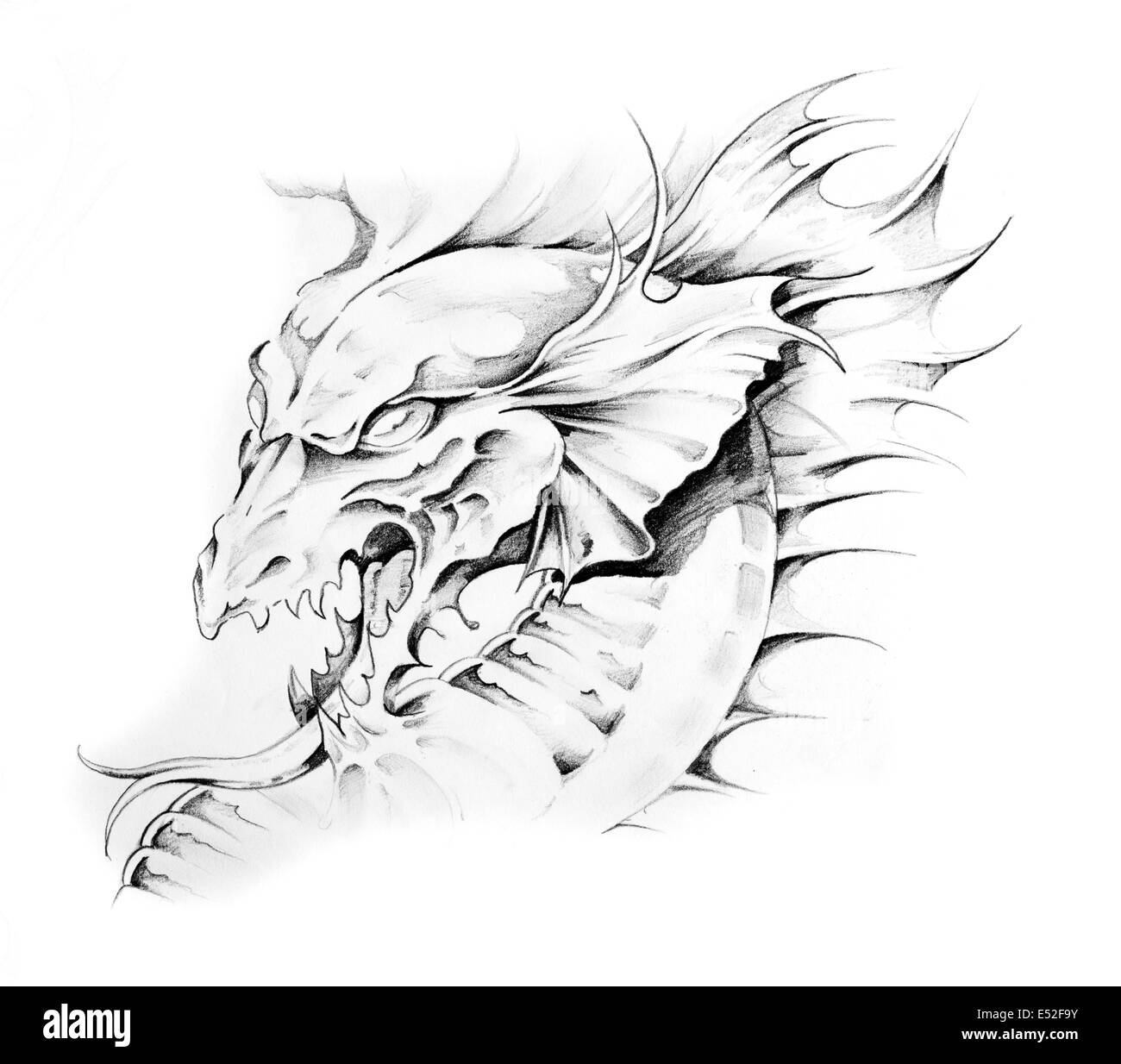 Schizzo di arte del tatuaggio, dragon Foto Stock