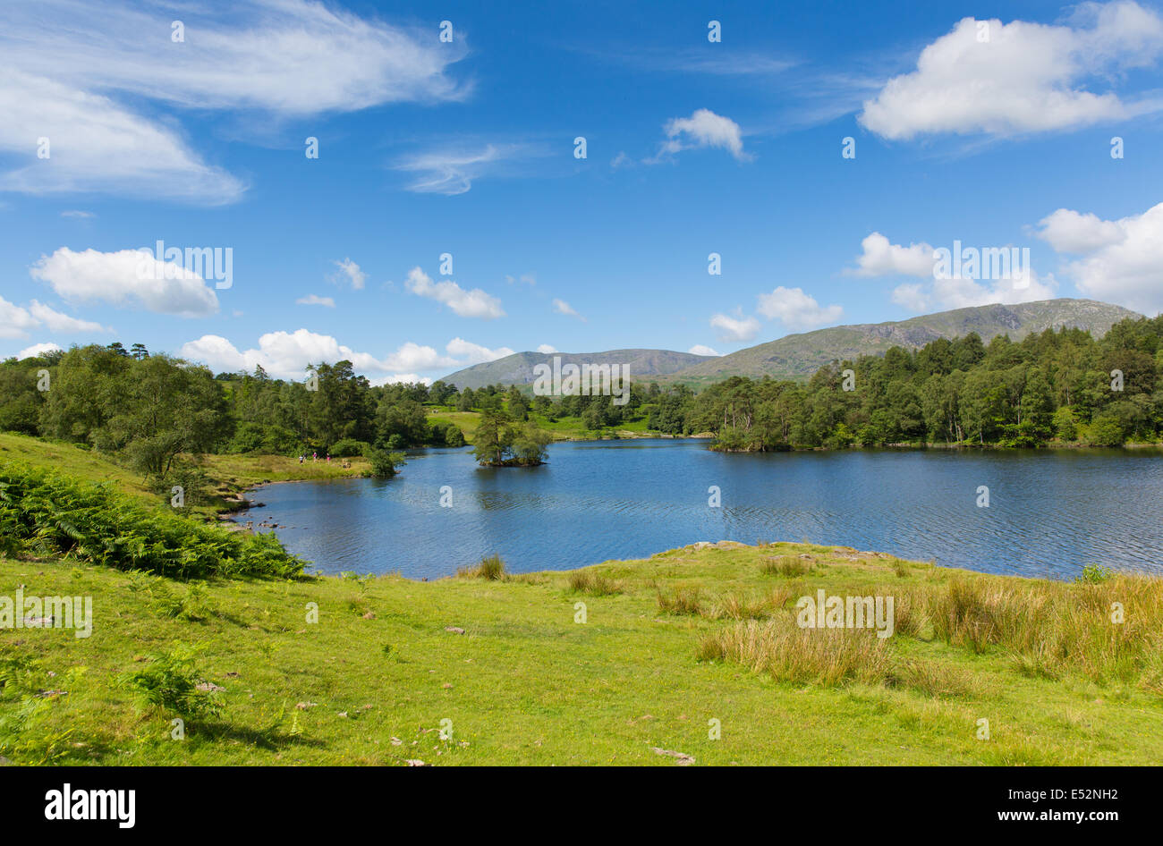 Tarn Hows vicino Hawkshead, Parco Nazionale del Distretto dei Laghi England Regno unito su una bella e soleggiata blu cielo estate al giorno senza sensore pioggia Foto Stock