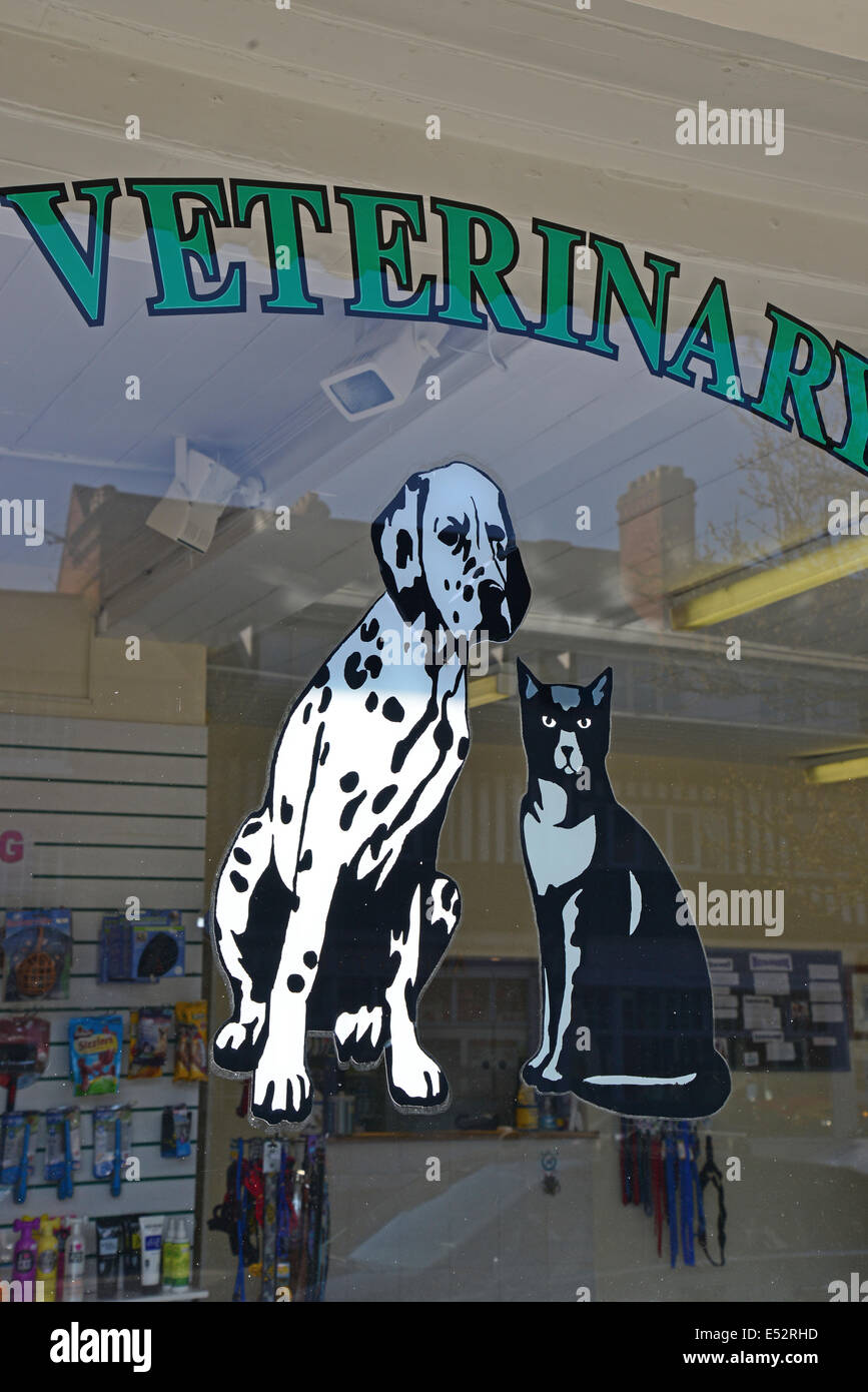 Ambulatorio veterinario store window, High Street, Hartley Wintney, Hampshire, Inghilterra, Regno Unito Foto Stock