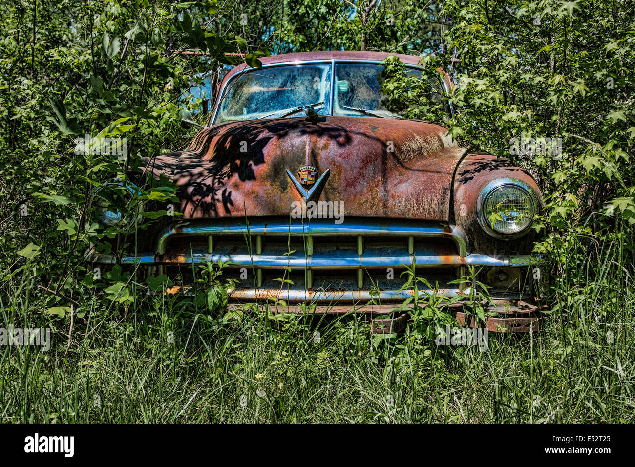 Arrugginita junk automobili e camion nella vecchia città dell'auto in bianco la Georgia Foto Stock