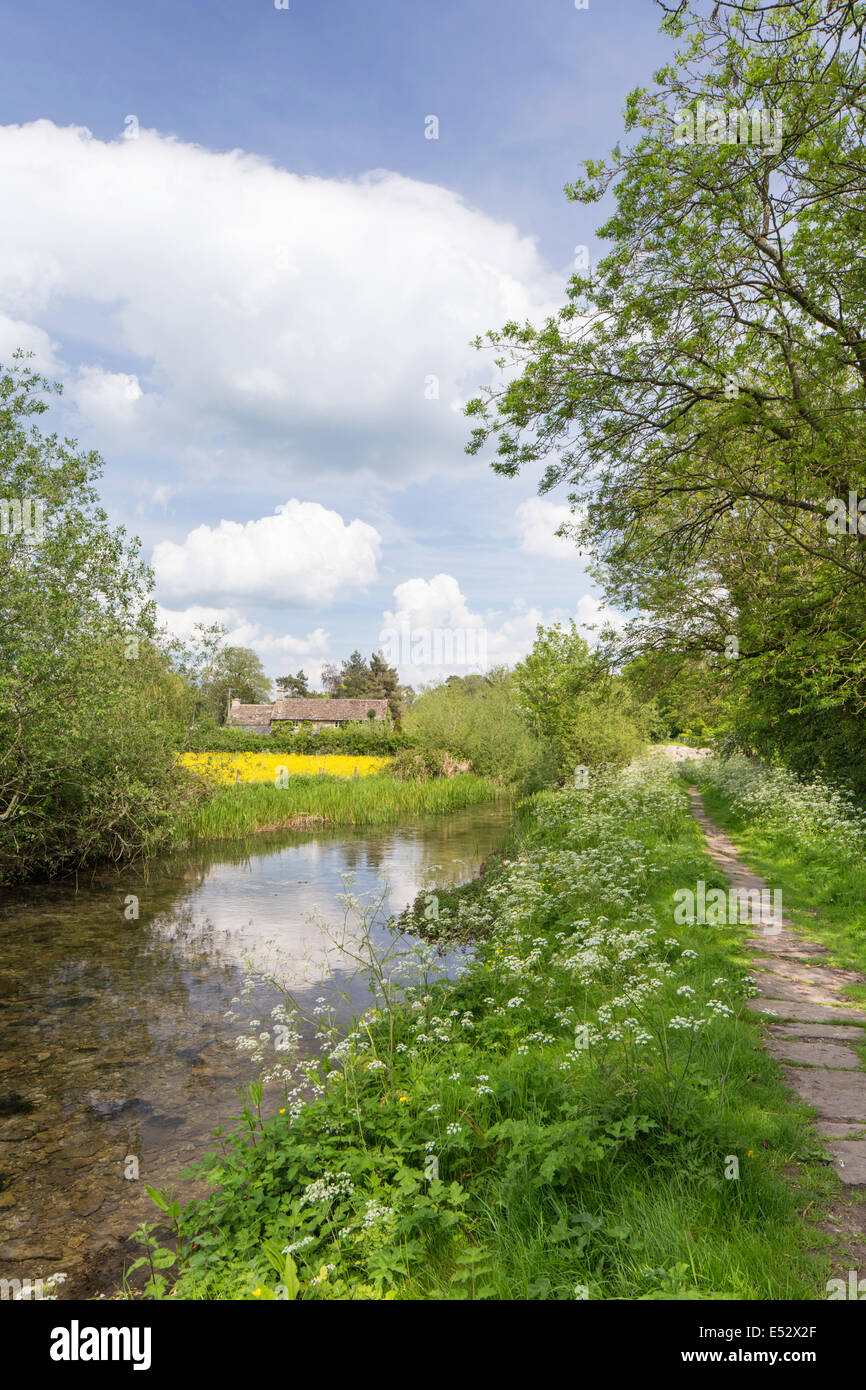 La liscivia di fiume che scorre tra la Cotswold villaggi di Eastleach Turville e Eastleach Martin, Oxfordshire, England, Regno Unito Foto Stock