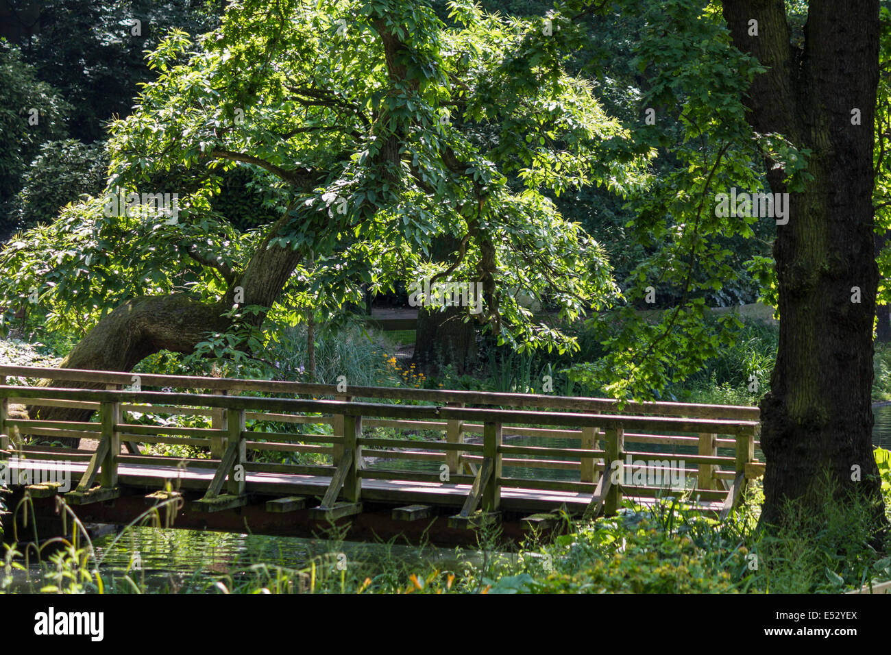 Ponte di legno su di un fiume in una giornata di sole Foto Stock