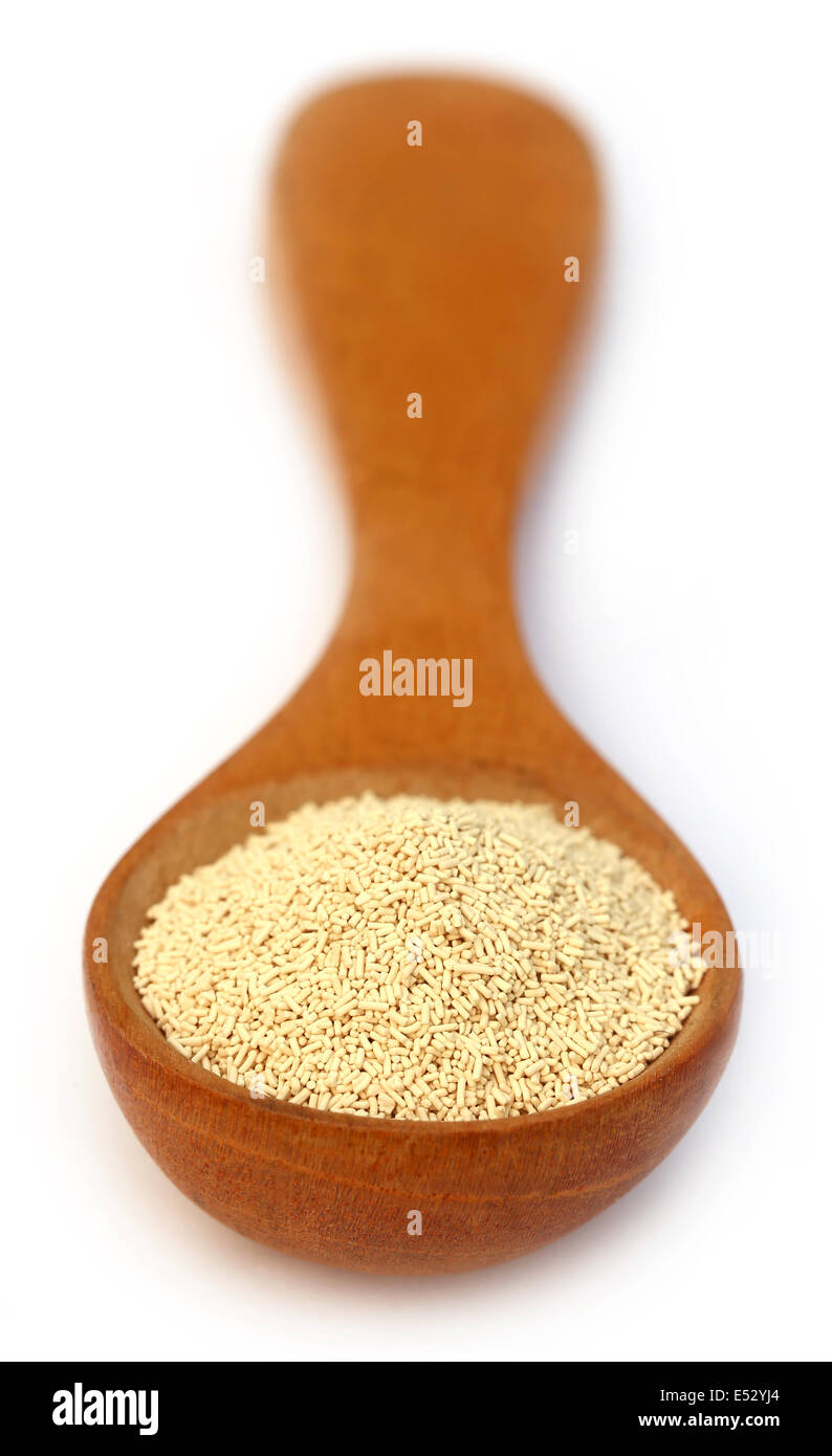 Il lievito in un cucchiaio di legno su sfondo bianco Foto Stock