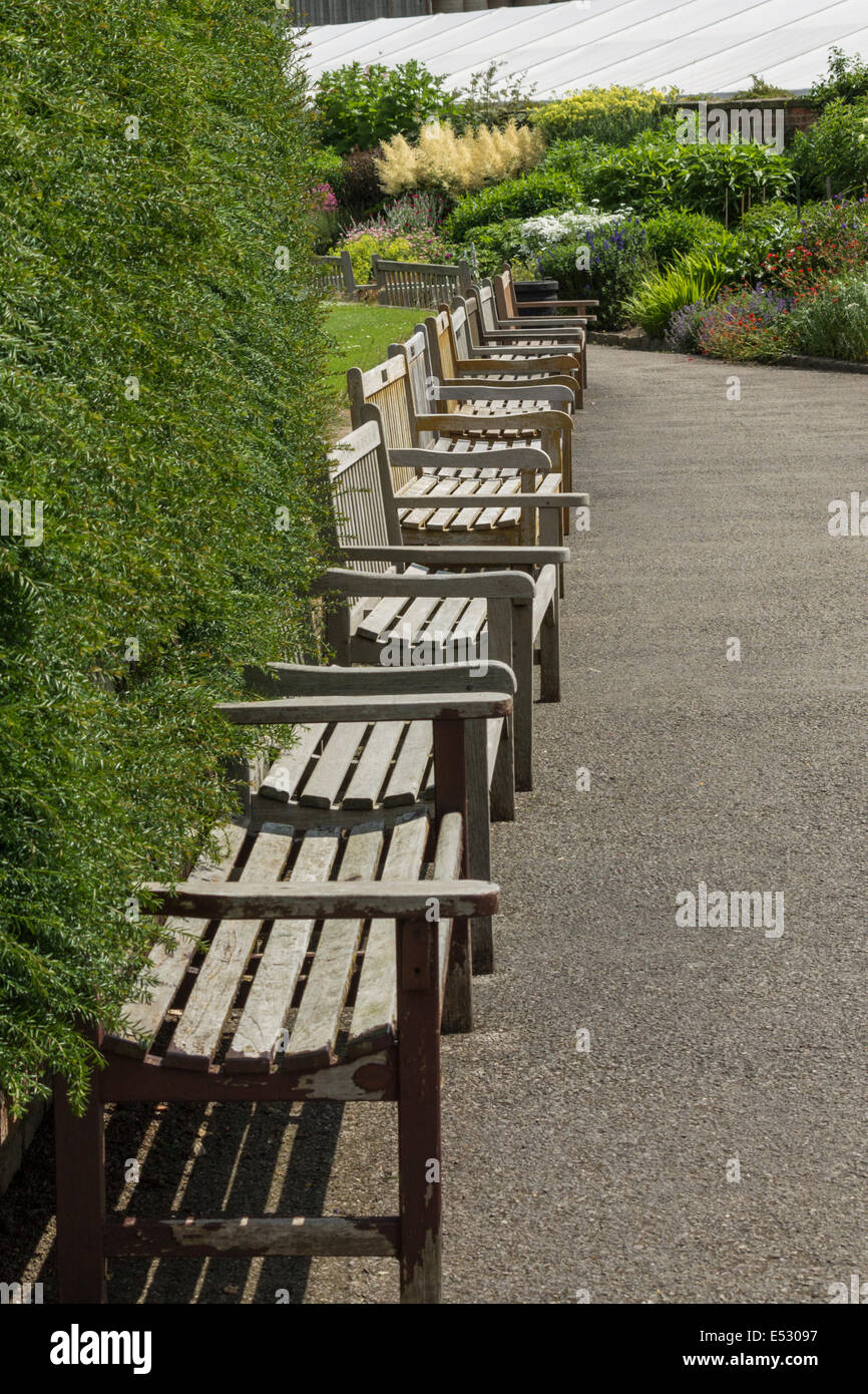 Una fila di banchi vuoti in un parco in una giornata di sole Foto Stock