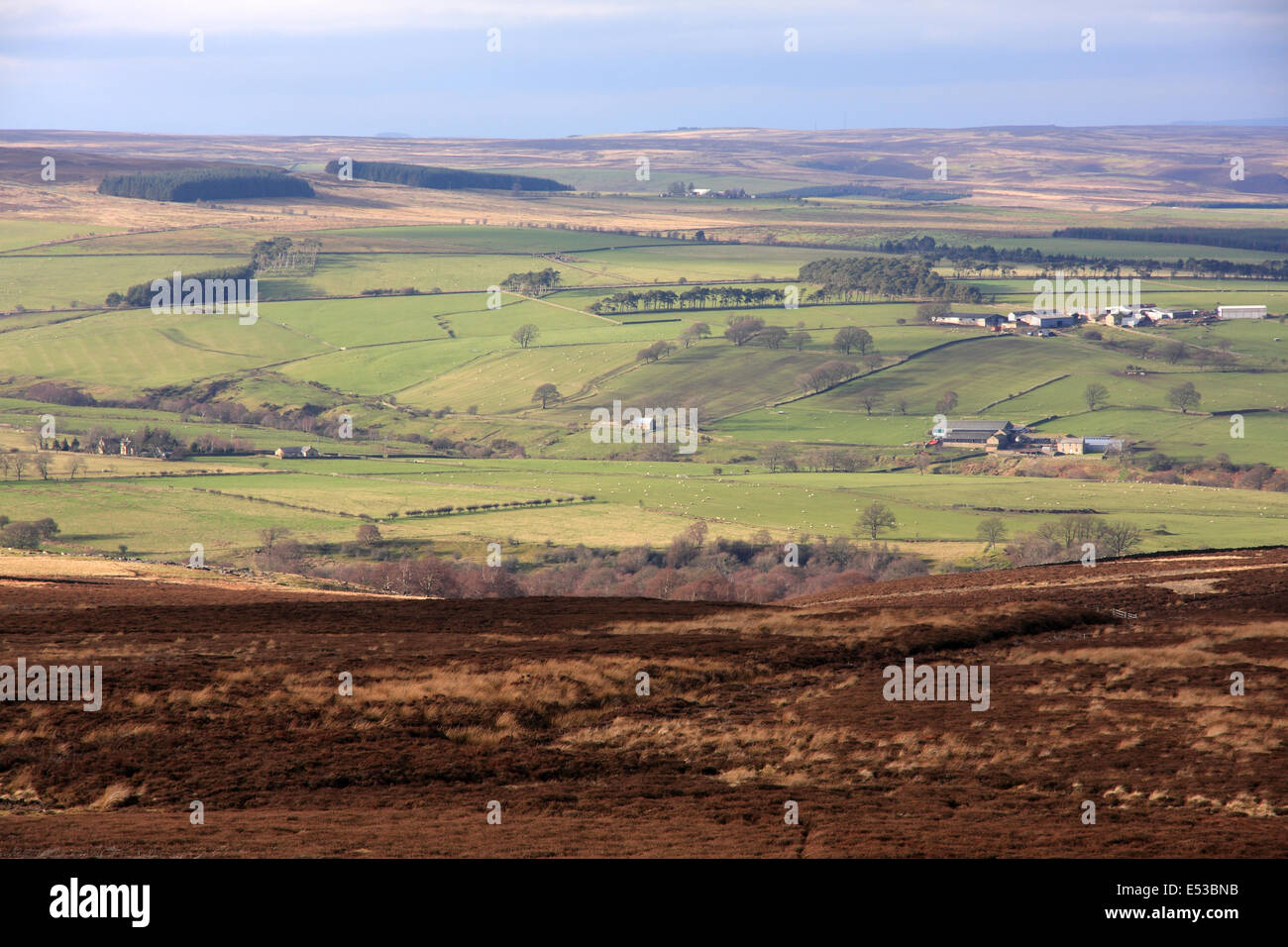 Guardando attraverso Devil's acqua da heather moorland sui vettori in modo sopra Blanchland, Northumberland Foto Stock