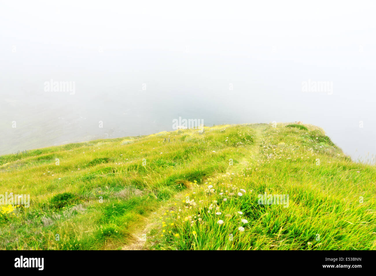 Il sentiero di erba in nessun luogo Foto Stock