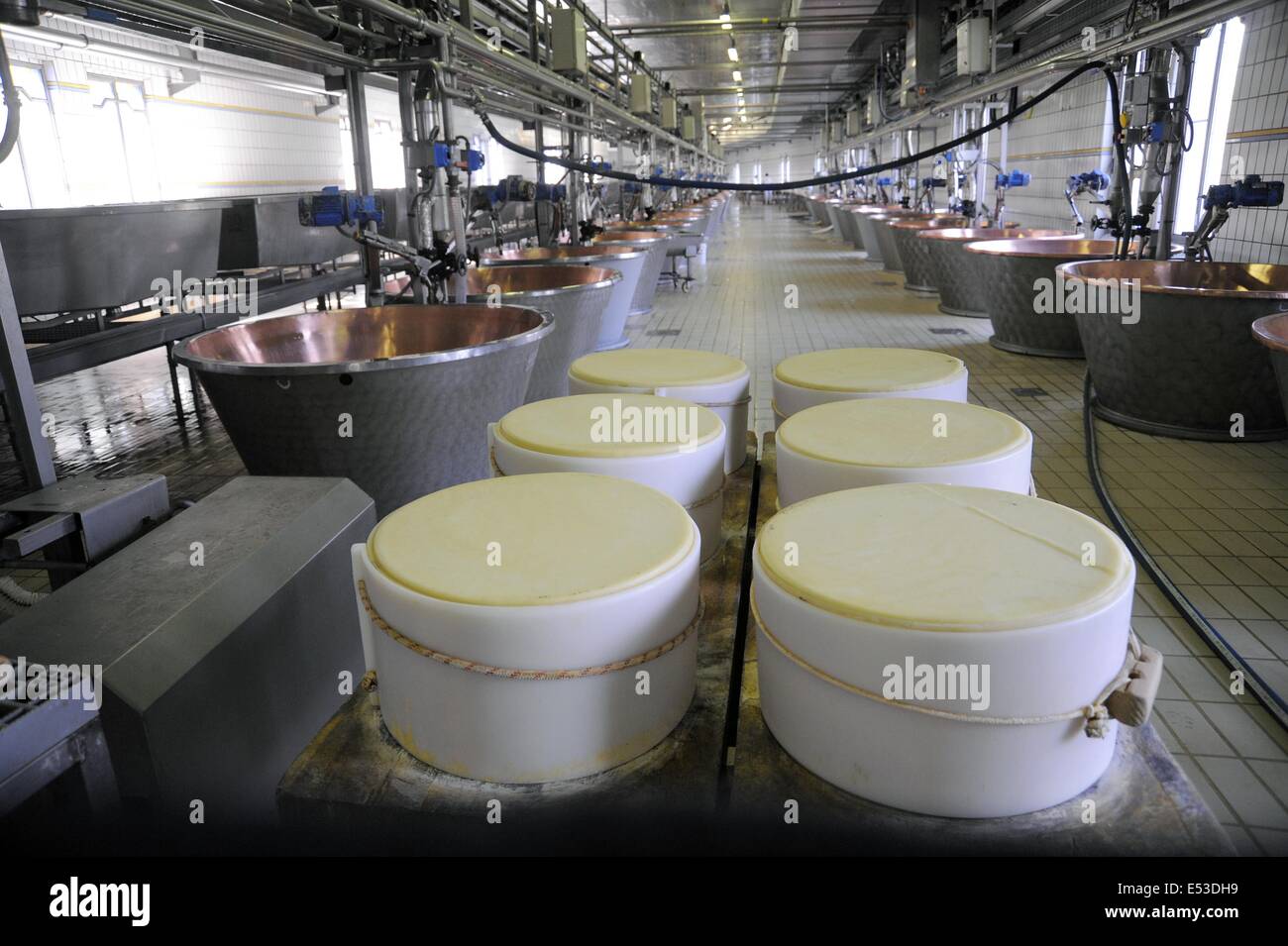 Trescore Cremasco (Cremona, Italia); produzione di Grana Padano DOP italiani formaggio tipico Foto Stock
