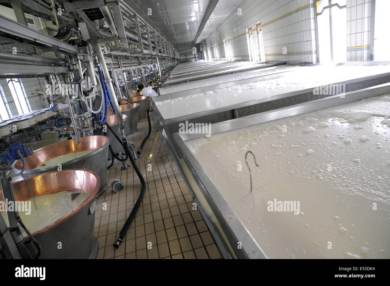 Trescore Cremasco (Cremona, Italia); produzione di Grana Padano DOP italiani formaggio tipico Foto Stock