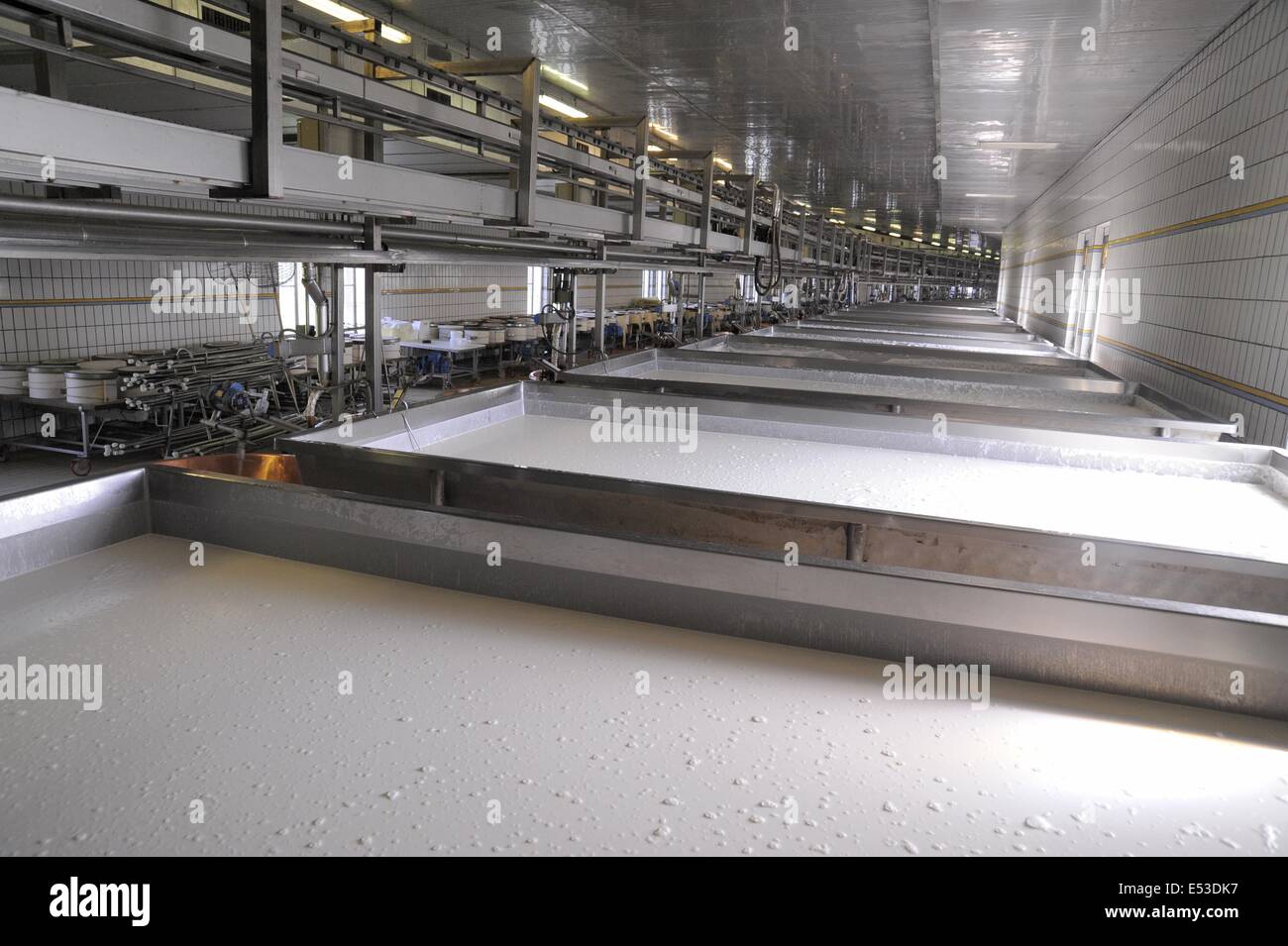 Trescore Cremasco (Cremona, Italia); produzione di Grana Padano DOP italiani formaggio tipico Foto Stock