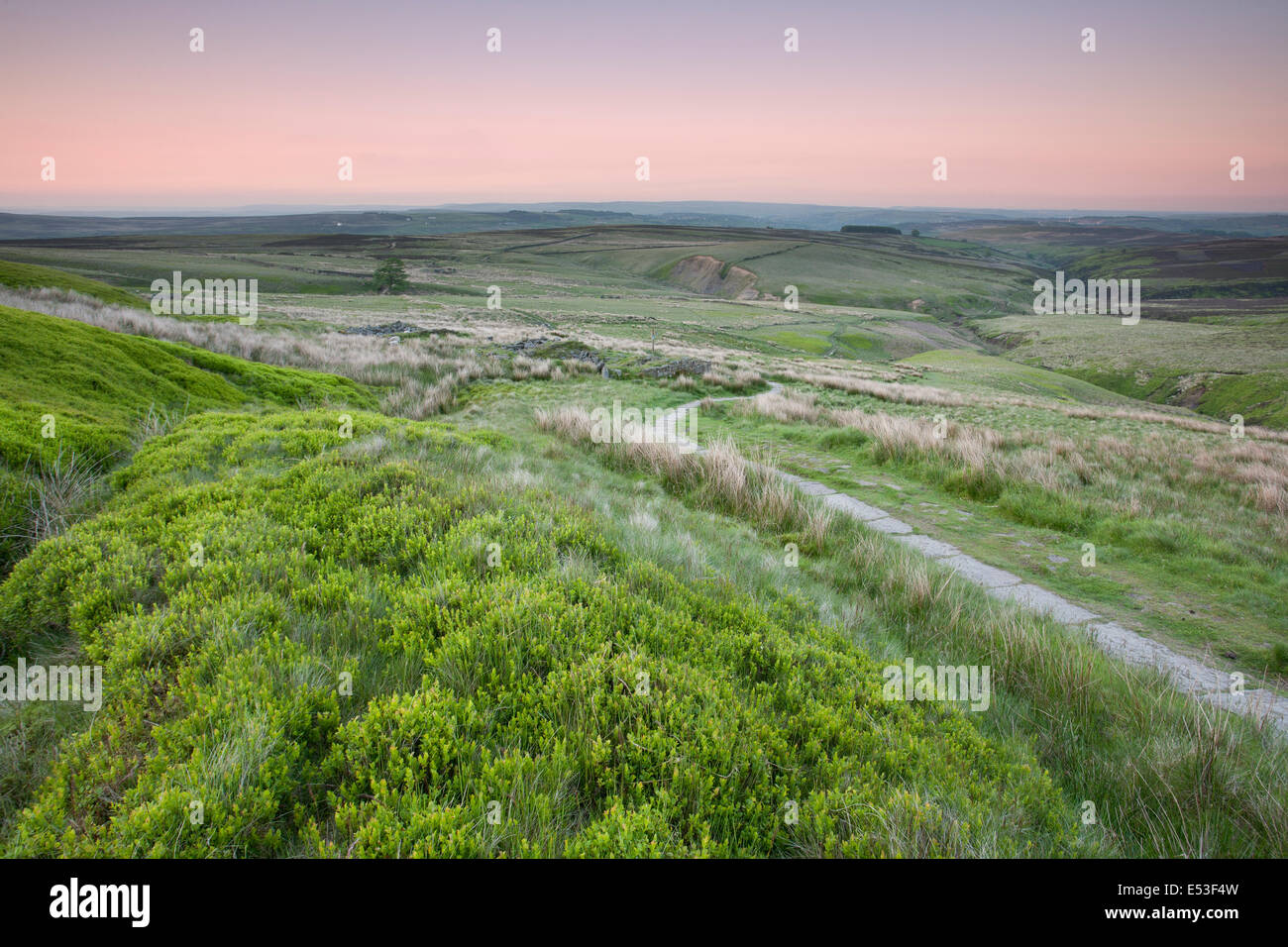 Mori sopra Haworth, reso famoso dal romanzo "Wuthering Heights' da Charlotte Bronte, Haworth, West Yorkshire, Regno Unito Foto Stock