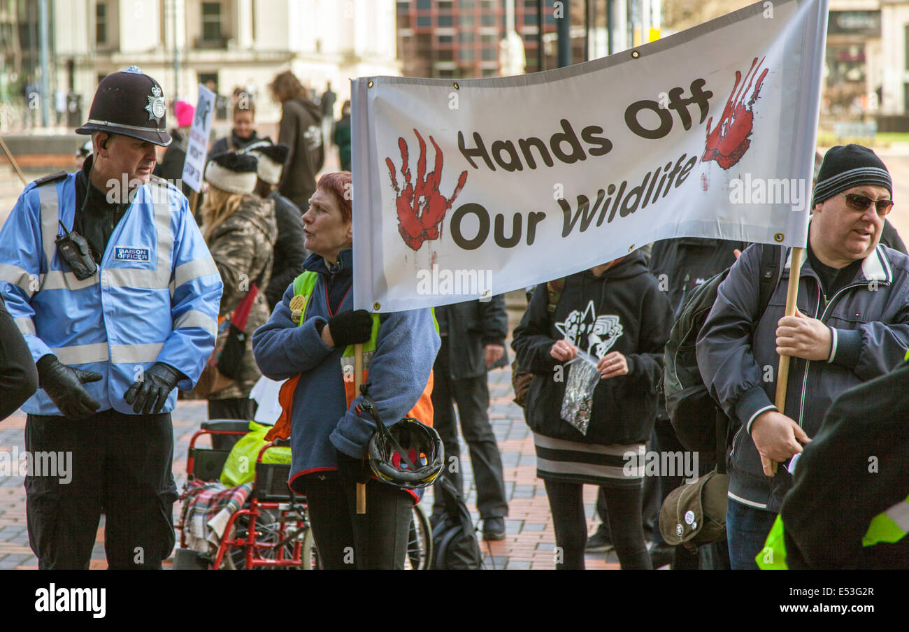 Badger Cull manifestanti fuori il sindacato nazionale degli agricoltori di AGM e all'ICC, 21 febbraio 2014, Birmingham, Inghilterra, Regno Unito Foto Stock