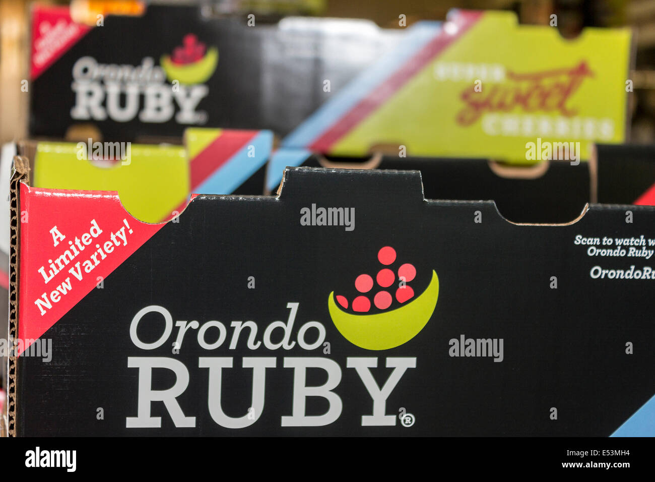 Scatole per Orondo Ruby ciliegie al G&C aziende agricole al di fuori Wenatchee, WA, Stati Uniti d'America. Foto Stock