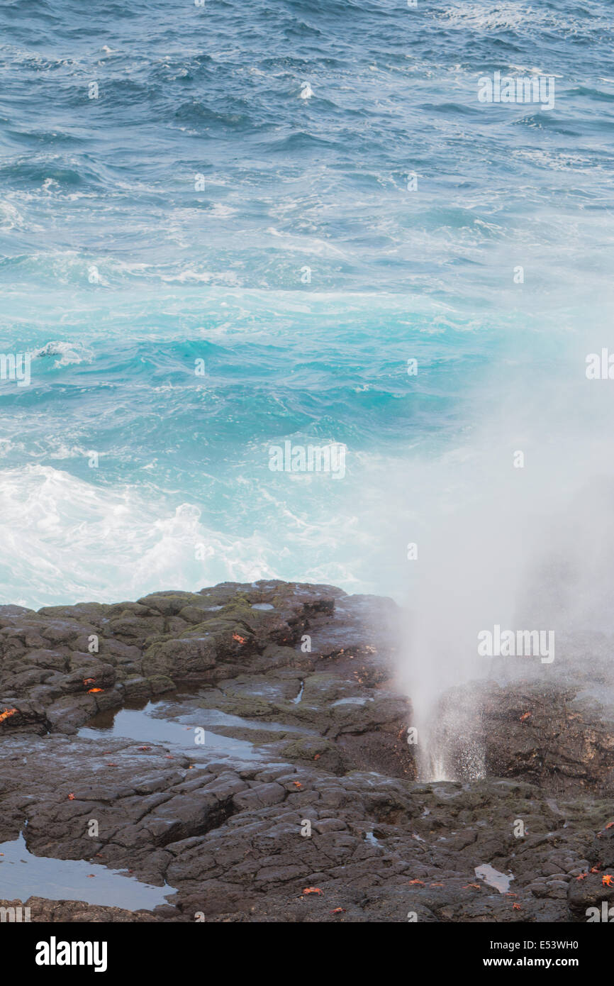 Blowhole in all'Isola Espanola, Ecuador Foto Stock