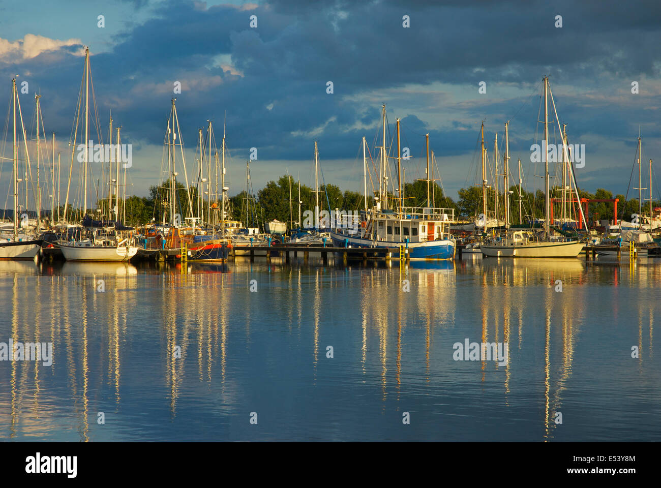 Barche a vela ormeggiata nel bacino del canale, Glasson Dock, Lancashire, Inghilterra, Regno Unito Foto Stock