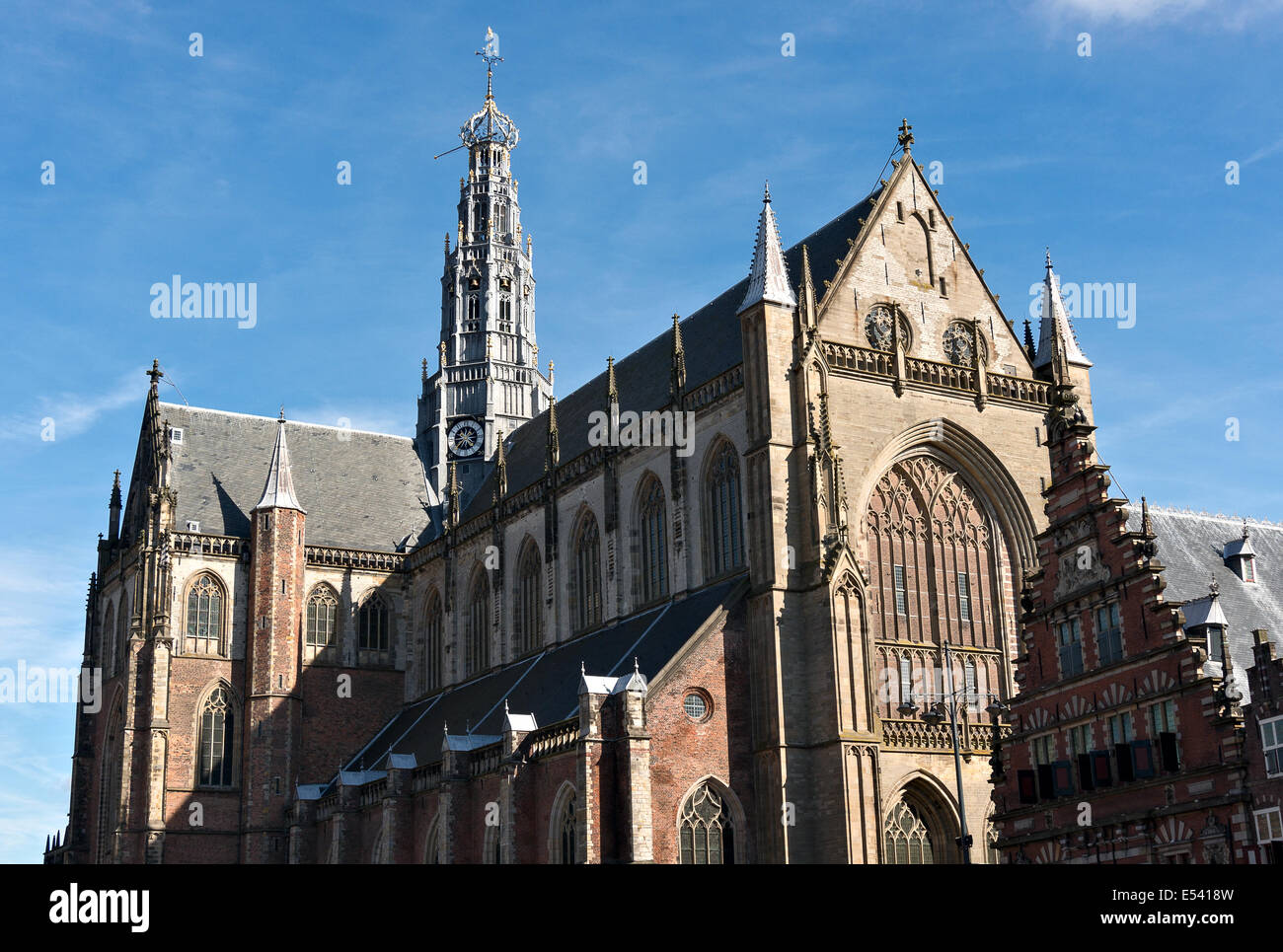 Cattedrale di San Bavone ad Haarlem, Paesi Bassi" Foto Stock