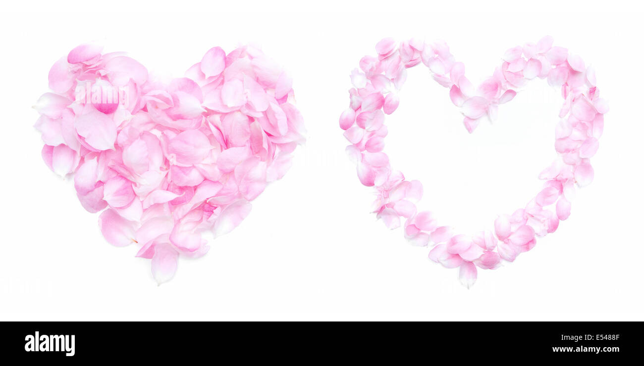 Telaio di petali di fiori con forma di cuore Foto Stock