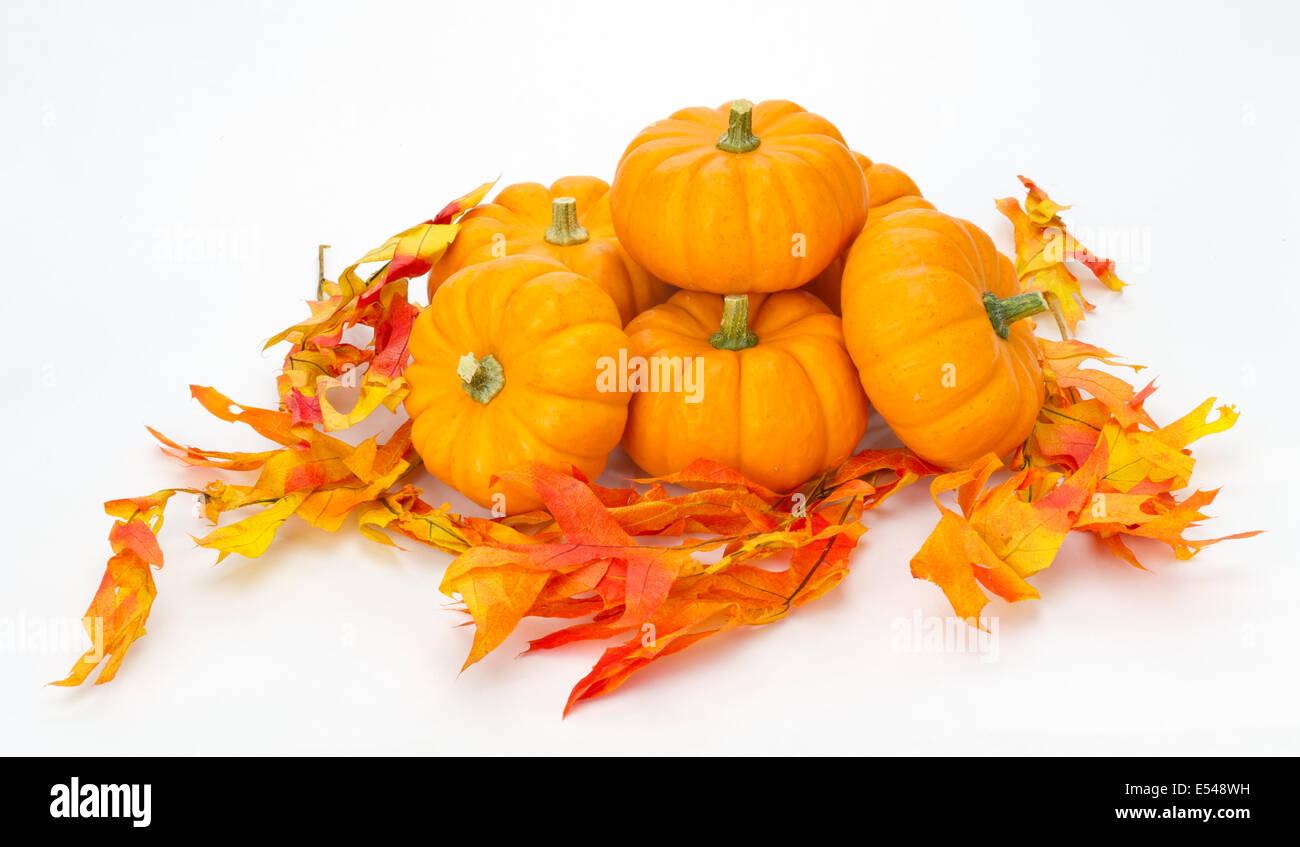 Colorate cadono le foglie e zucche per la decorazione su bianco Foto Stock