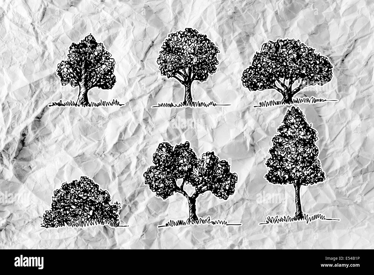 Set di alberi con foglie su carta sgualcita Foto Stock