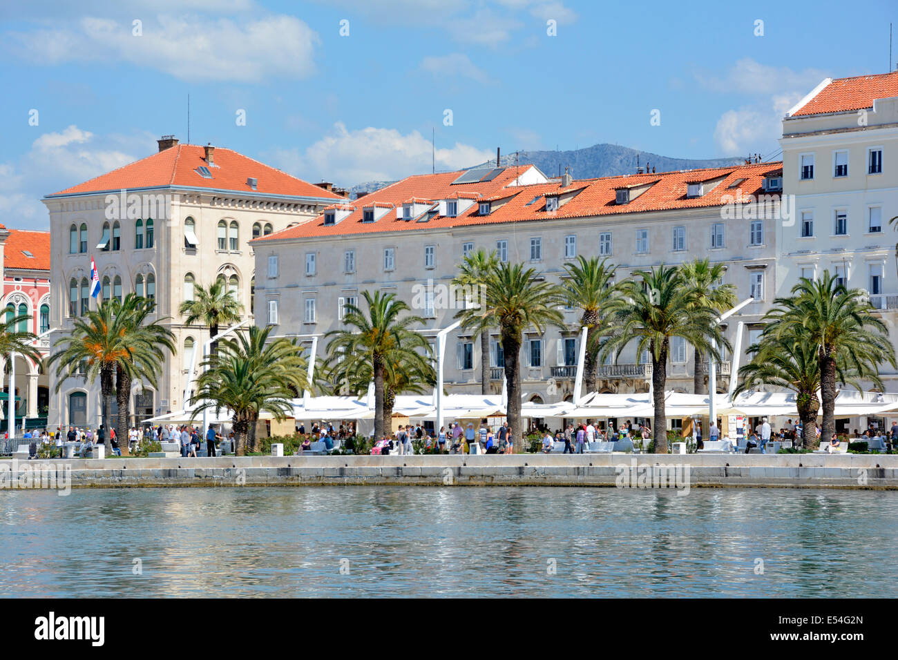 Palme lungo il fronte mare di Spalato in Croazia Dalmazia Adriatico Foto Stock