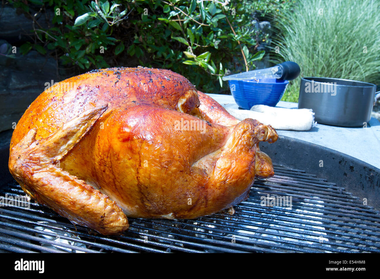 Tutta la Turchia la tostatura su una griglia a carbone Foto Stock