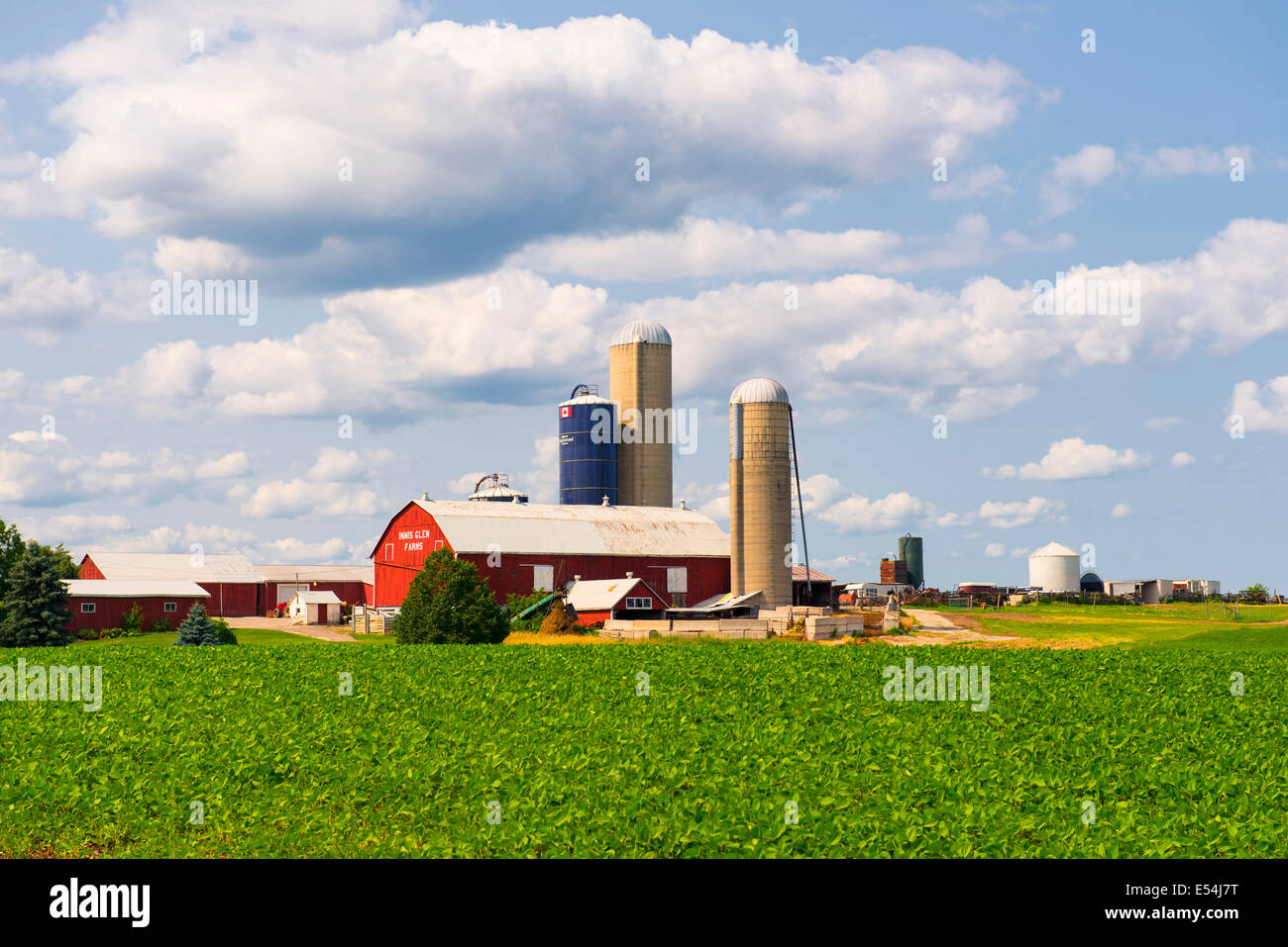 Canada Ontario Farm, fattorie, fienili, Silos Foto Stock