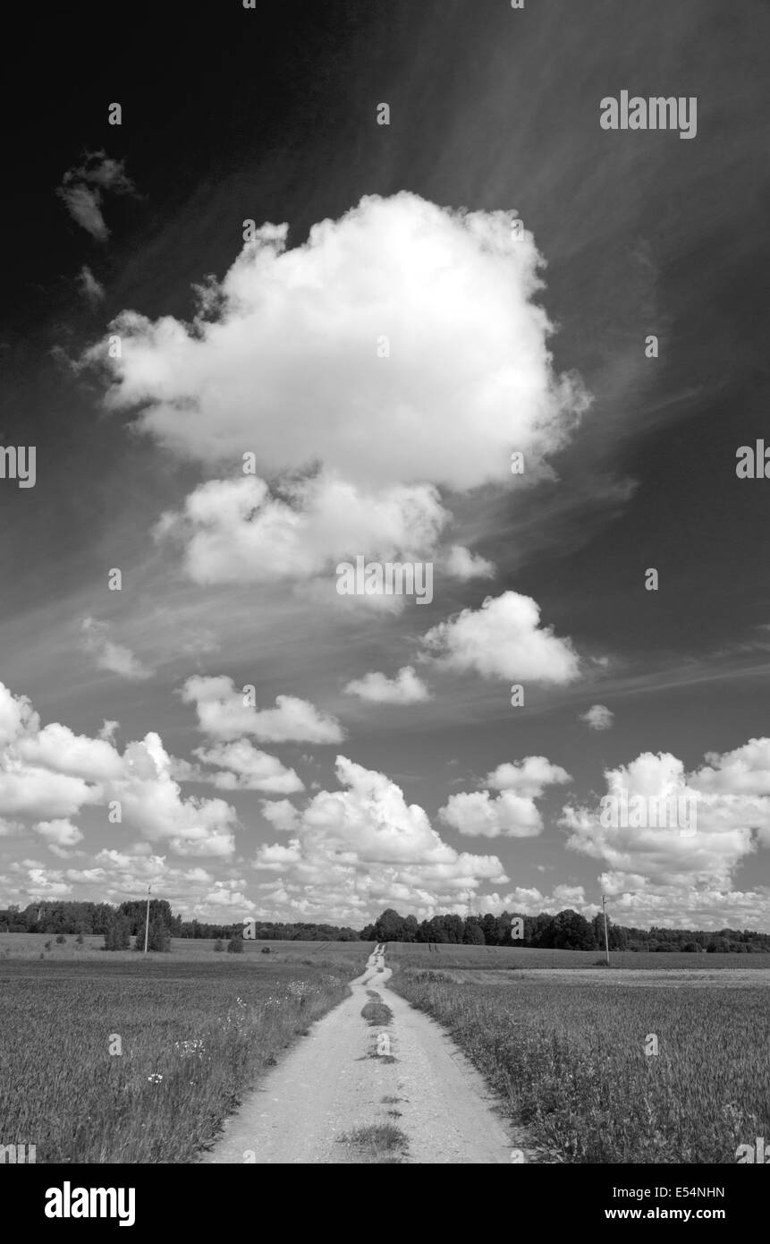 Rural strada di ghiaia con le nubi del cielo in bianco e nero . La fotografia in bianco e nero Foto Stock
