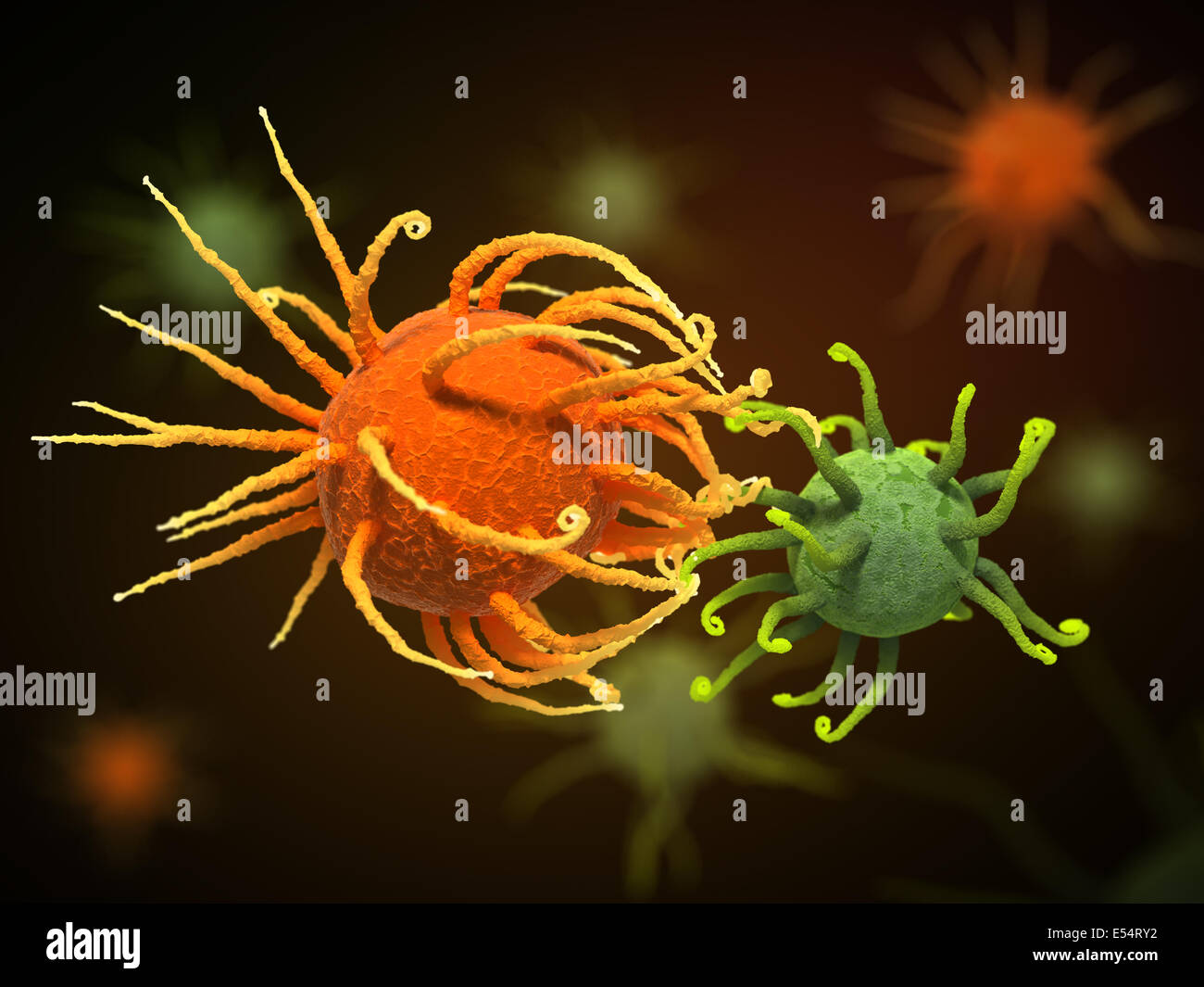 Lotta tra i batteri o virus. Fantasy illustrazione della scienza Foto Stock