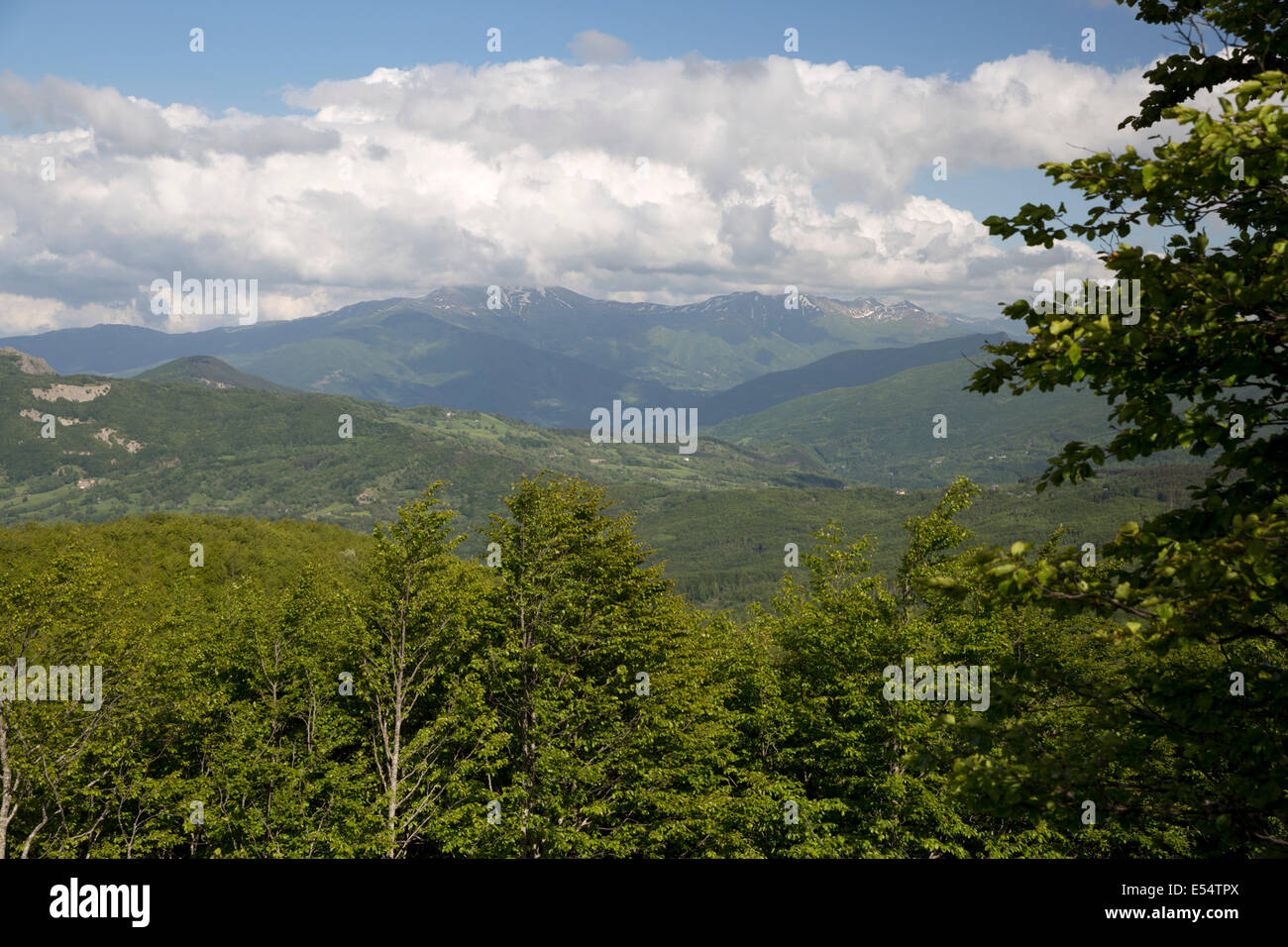 Vista del Orecchiella mountain range dal vertice del Passo della Radici, vicino a San Pellegrino in Alpe, della Garfagnana, Emilia Romagna, Italia, Europa Foto Stock