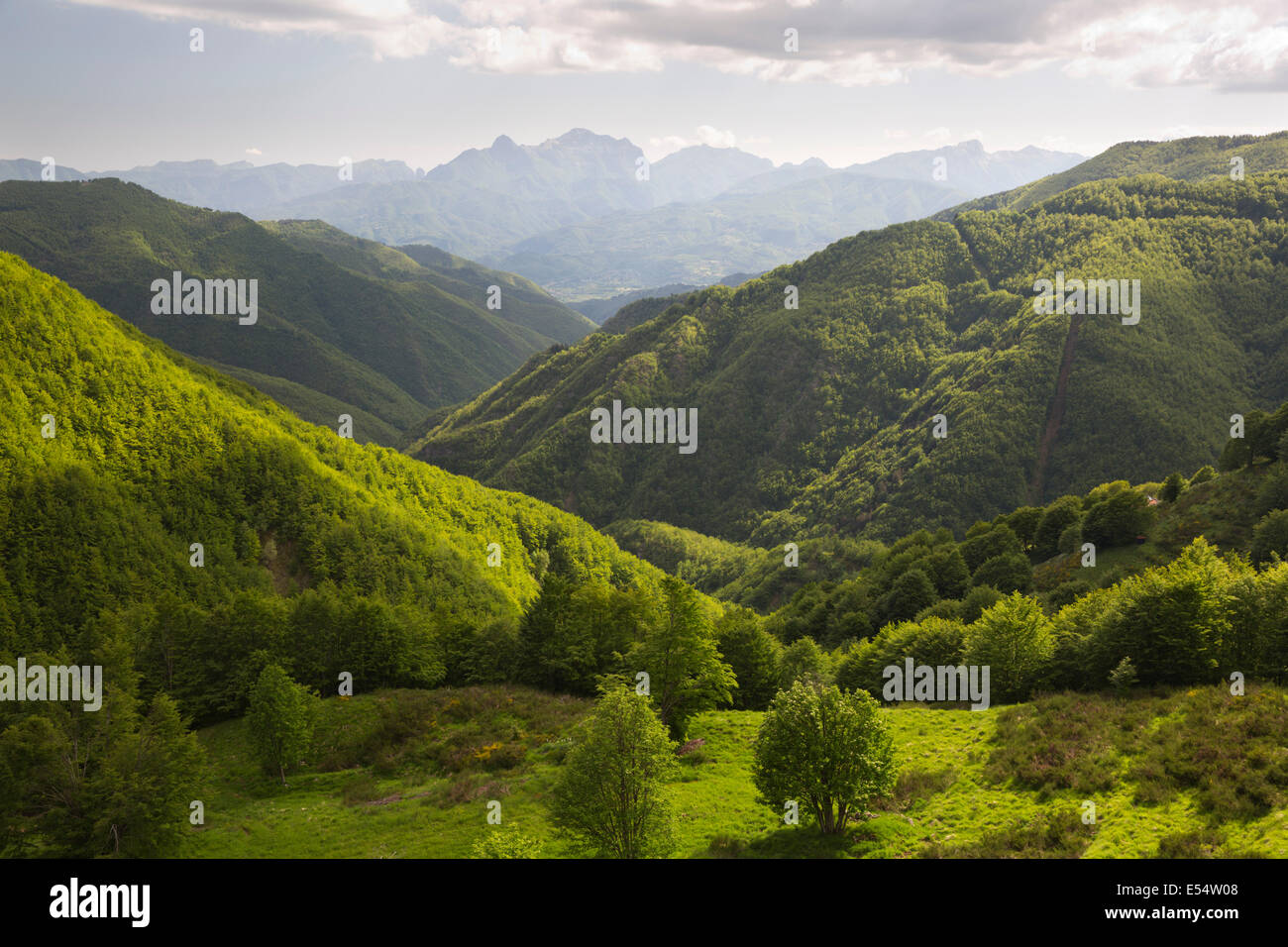 Vista sull'Orecchiella e le Alpi Apuane, montagne di San Pellegrino in Alpe, della Garfagnana, Toscana, Italia, Europa Foto Stock