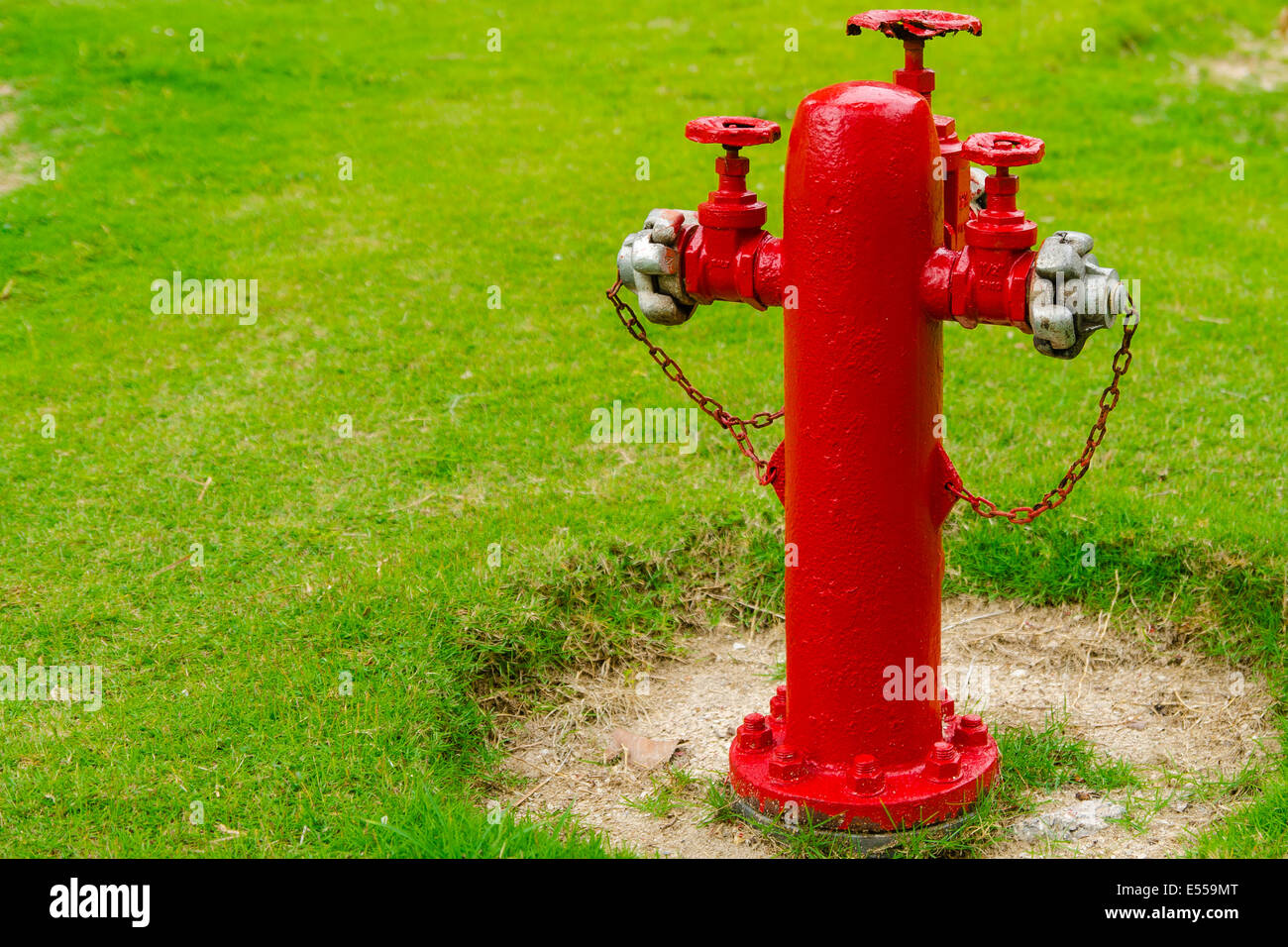 Idrante vecchio nel giardino, erba verde Foto Stock