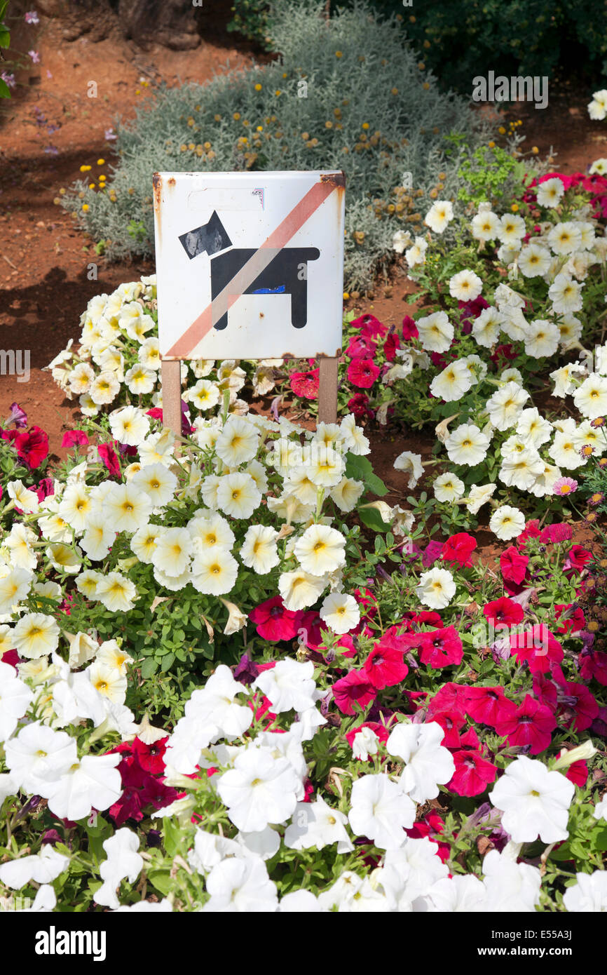 Cani non ammessi nel segno dei fiori Foto Stock