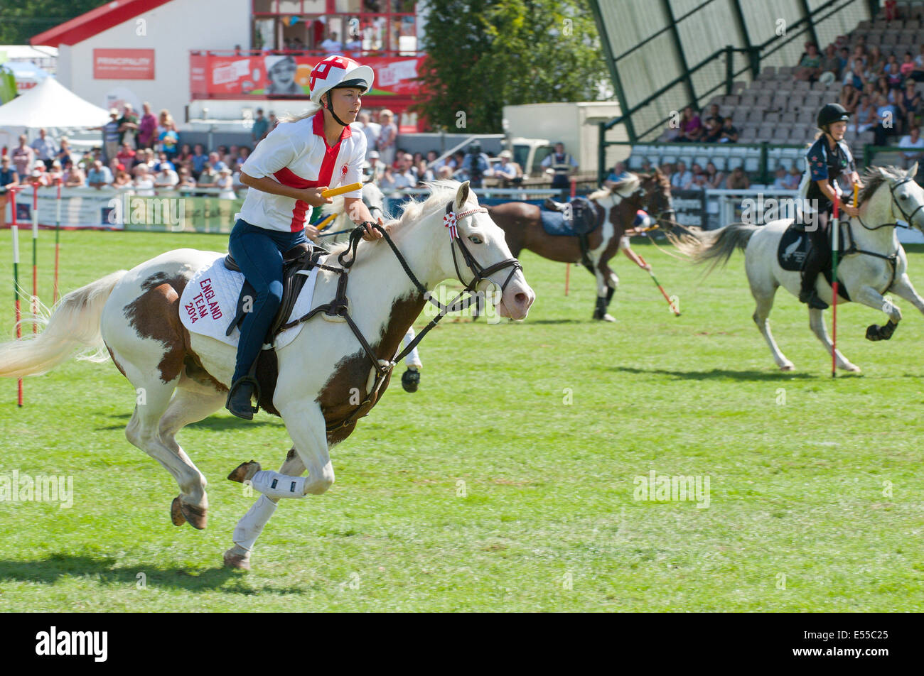 Llanelwedd, UK. Il 21 luglio 2014. Il Royal Welsh montato giochi avviene nell'anello principale. Un numero record di visitatori in eccesso di 240.000 sono attesi questa settimana durante i quattro giorni dell'Europa la più grande mostra dell'agricoltura. Classi di bestiame e i premi speciali hanno attratto 8.000 voci plus, 670 in più rispetto allo scorso anno. La prima mai Royal Welsh Show è stato a Aberystwyth in 1904 ed ha attirato 442 voci di bestiame. Credito: Graham M. Lawrence/Alamy Live News. Foto Stock