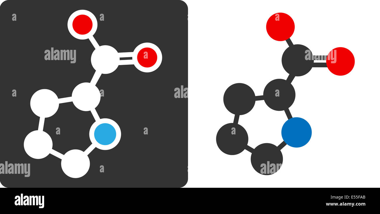 Proline amminoacido molecola, piatto stile icona. Atomi di carbonio, azoto e ossigeno mostrato come cerchi. Atomi come illustrato a colori codificati cir Foto Stock