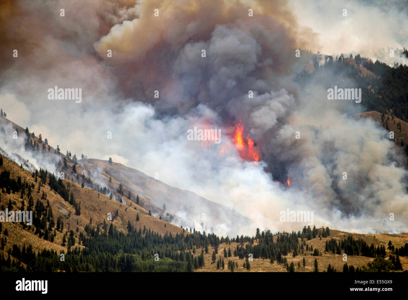 Il Carlton complesso ustioni incendio fuori controllo il 18 luglio 2014 vicino a Winthrop, Washington. Il wildfire ha consumato più di 238,000 acri e bruciato 150 strutture di uccidere una persona. Foto Stock