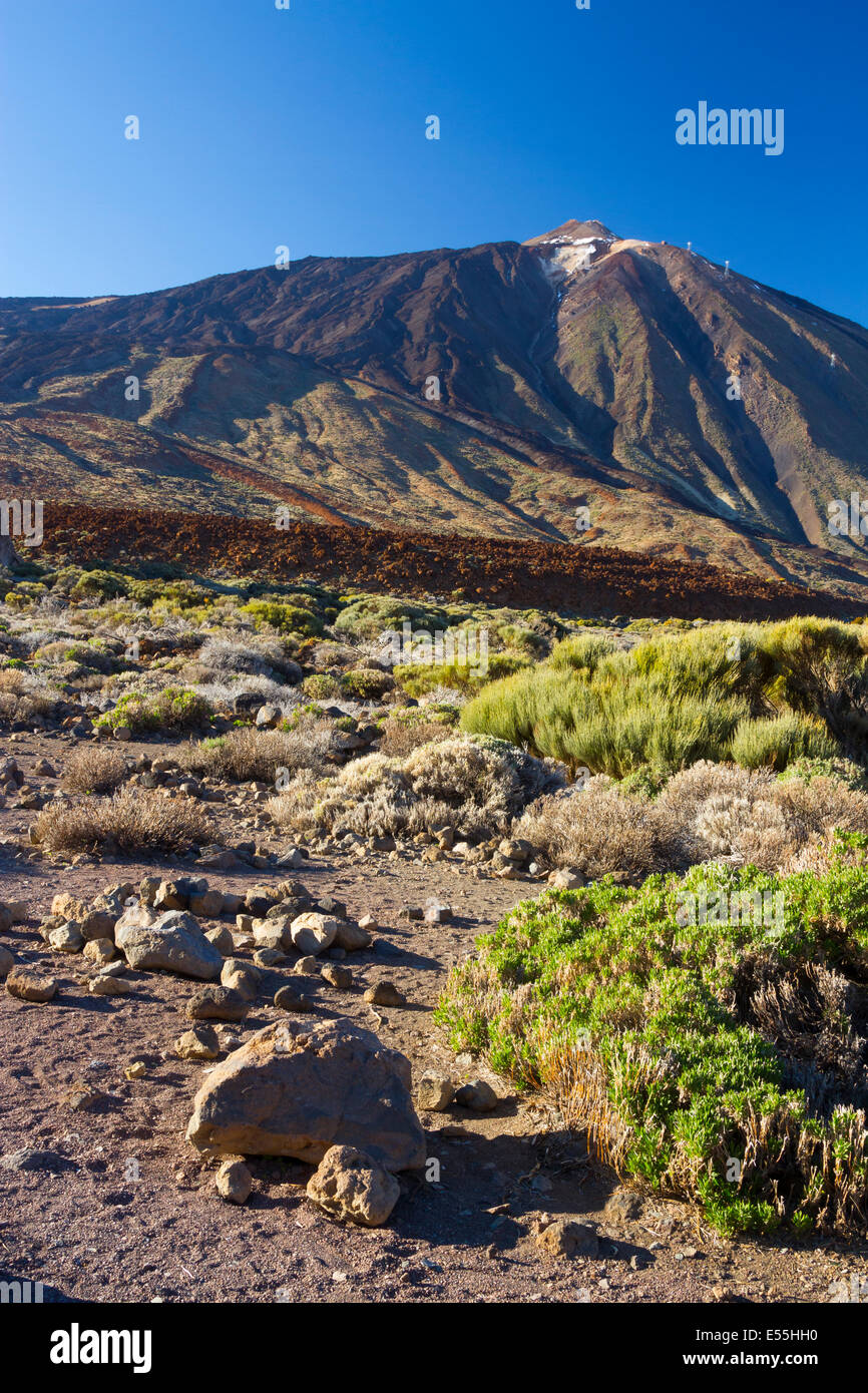 Vulcano Teide e formazione di lava. Parco Nazionale di Teide. La Orotava, Tenerife, Isole Canarie, Oceano Atlantico, Spagna, Europa. Foto Stock