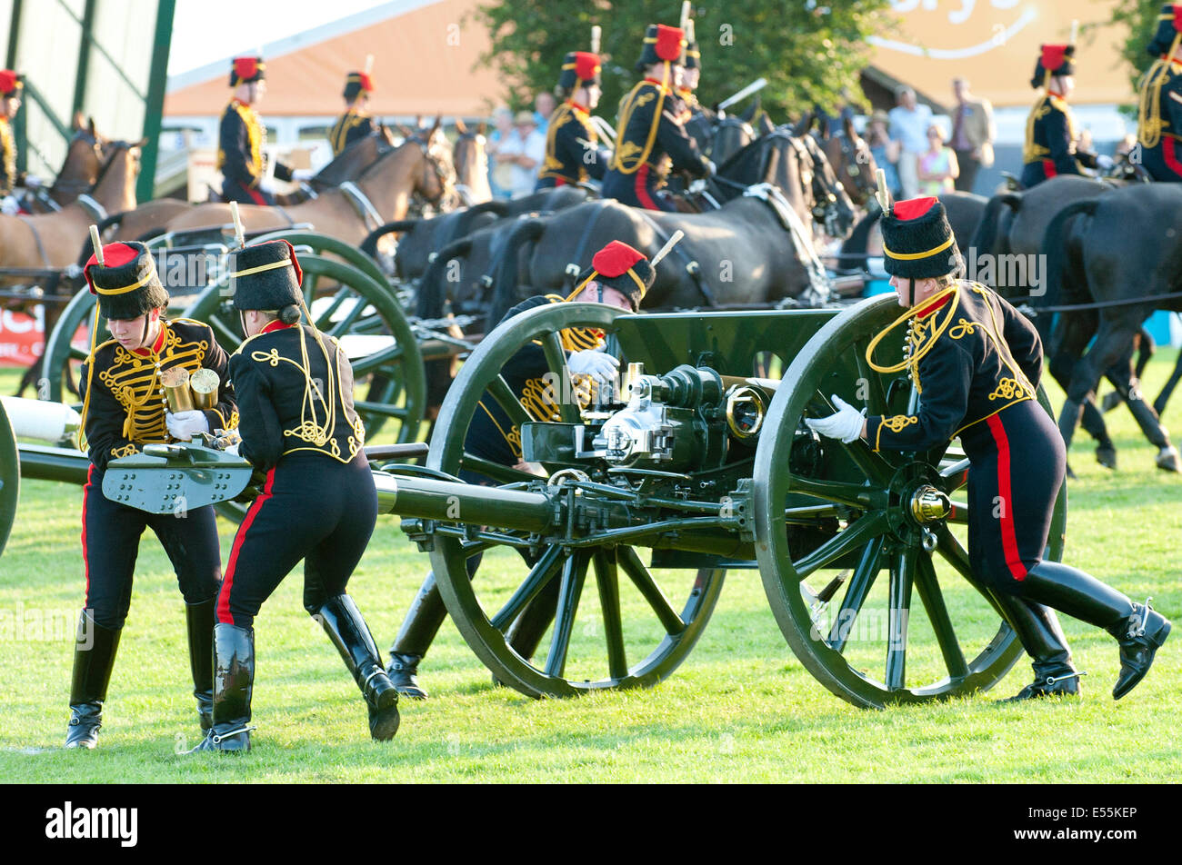 Llanelwedd, UK. Il 21 luglio 2014. Il Re della truppa cavallo Royal Artillery dare una visualizzazione alla mostra. Un numero record di visitatori in eccesso di 240.000 sono attesi questa settimana durante i quattro giorni dell'Europa la più grande mostra dell'agricoltura. Classi di bestiame e i premi speciali hanno attratto 8.000 voci plus, 670 in più rispetto allo scorso anno. La prima mai Royal Welsh Show è stato a Aberystwyth in 1904 ed ha attirato 442 voci di bestiame. Credito: Graham M. Lawrence/Alamy Live News. Foto Stock