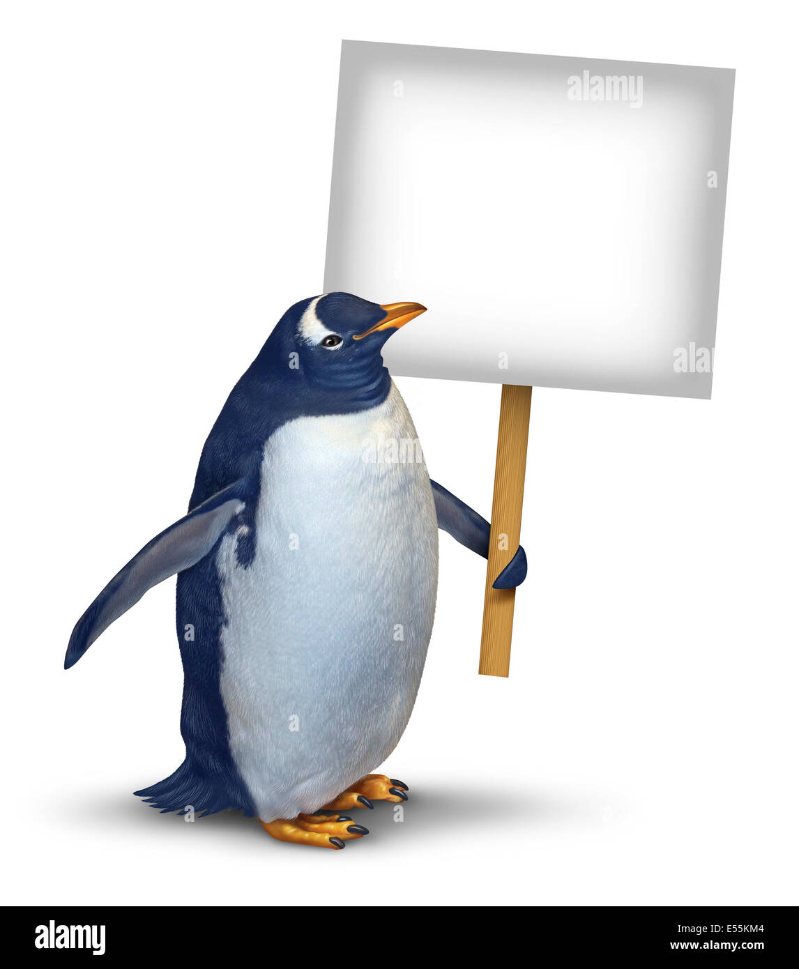 Penguin tenendo una scheda vuota segno come un simpatico uccello polare con un sorriso felice espressione di sostegno e comunicare un messaggio attinenti al benessere degli animali e della fauna selvatica isolato su un fondo bianco. Foto Stock