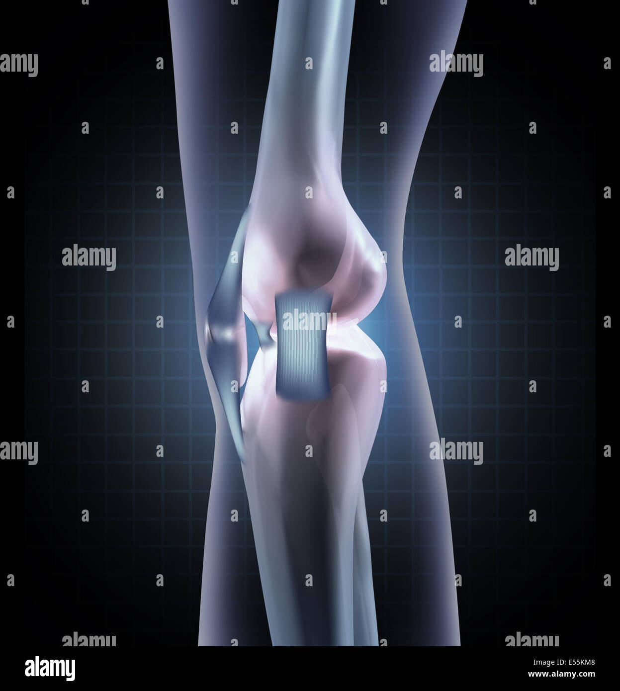 Anatomia del ginocchio concetto medico come una veduta laterale di una gamba umana giunto con tendini e legamenti come un simbolo ortopedica per la medicina dello sport il pregiudizio o la diagnosi. Foto Stock
