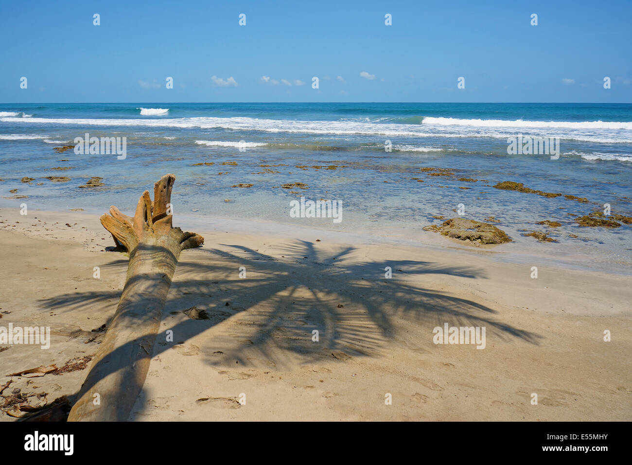 Ombra di palma su una spiaggia di sabbia e il mare dei Caraibi, Costa Rica Foto Stock