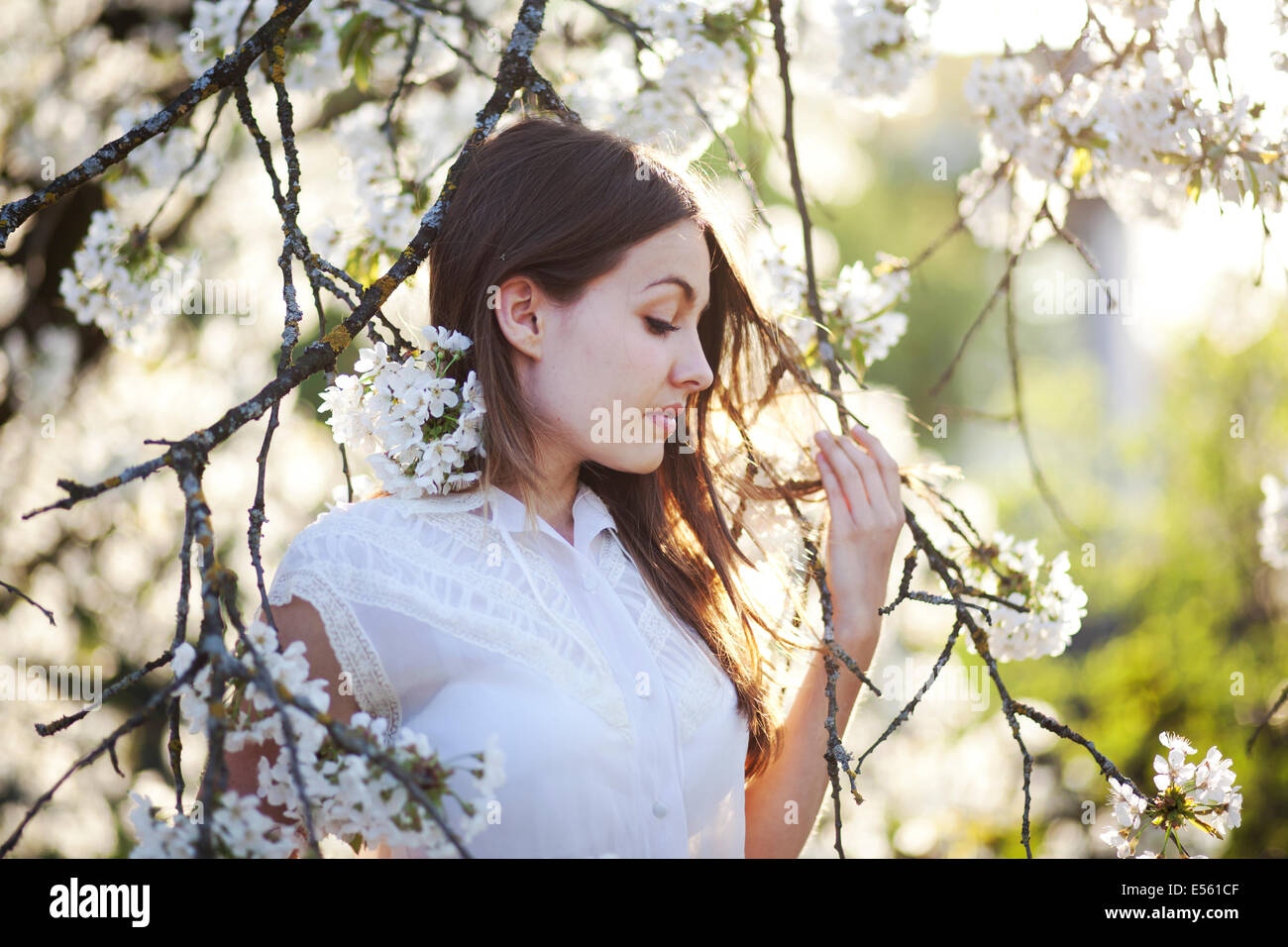 Ritratto di una giovane donna con fiori di ciliegio Foto Stock