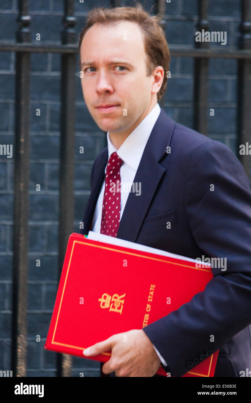 Londra, Regno Unito. 22 Luglio, 2014. Matthew Hancock MP, Ministro di Stato per l'energia arriva per la riunione di gabinetto a Downing Street Credit: Paolo Davey/Alamy Live News Foto Stock