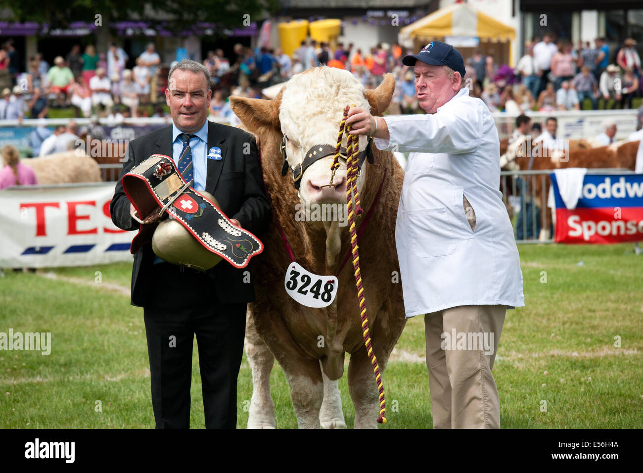 Winning Bull a royal welsh agricultural show con il proprietario Foto Stock