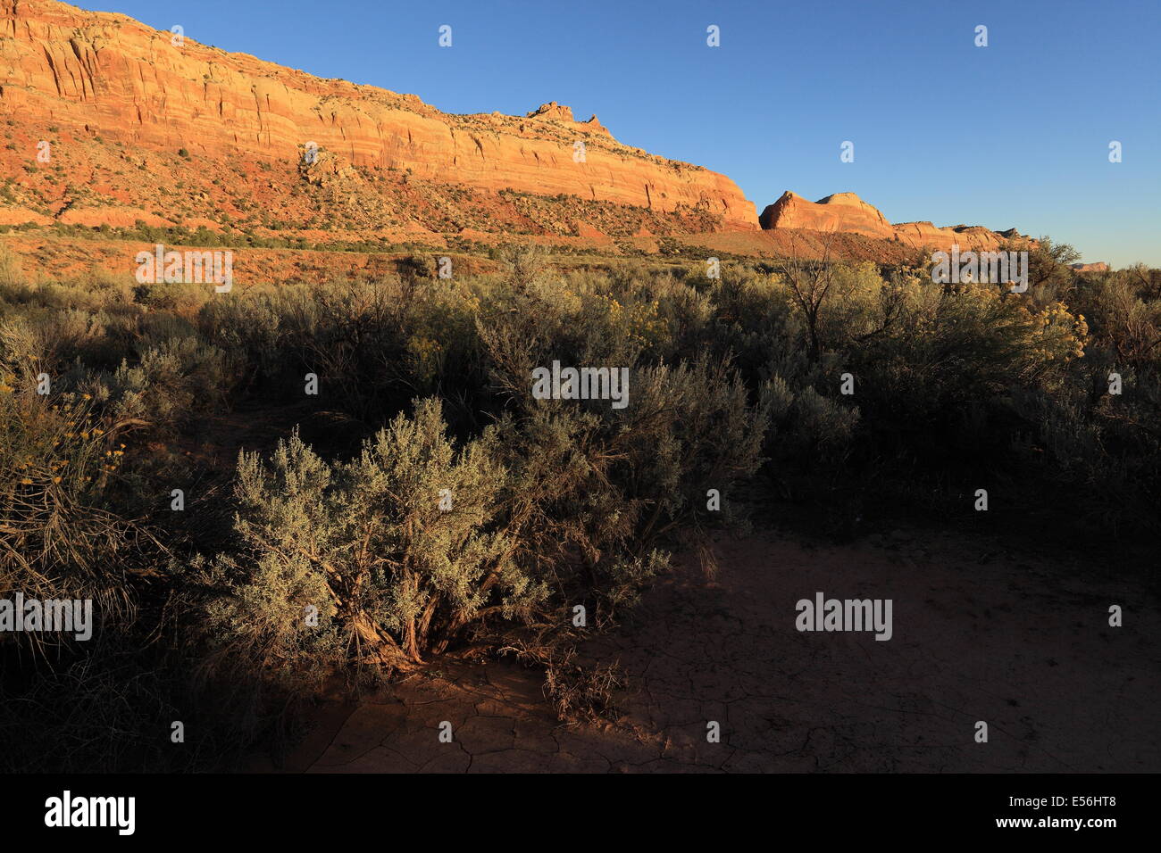 Comb Ridge al tramonto - Southeast Utah - USA - lungo la Utah State Route 95 Foto Stock