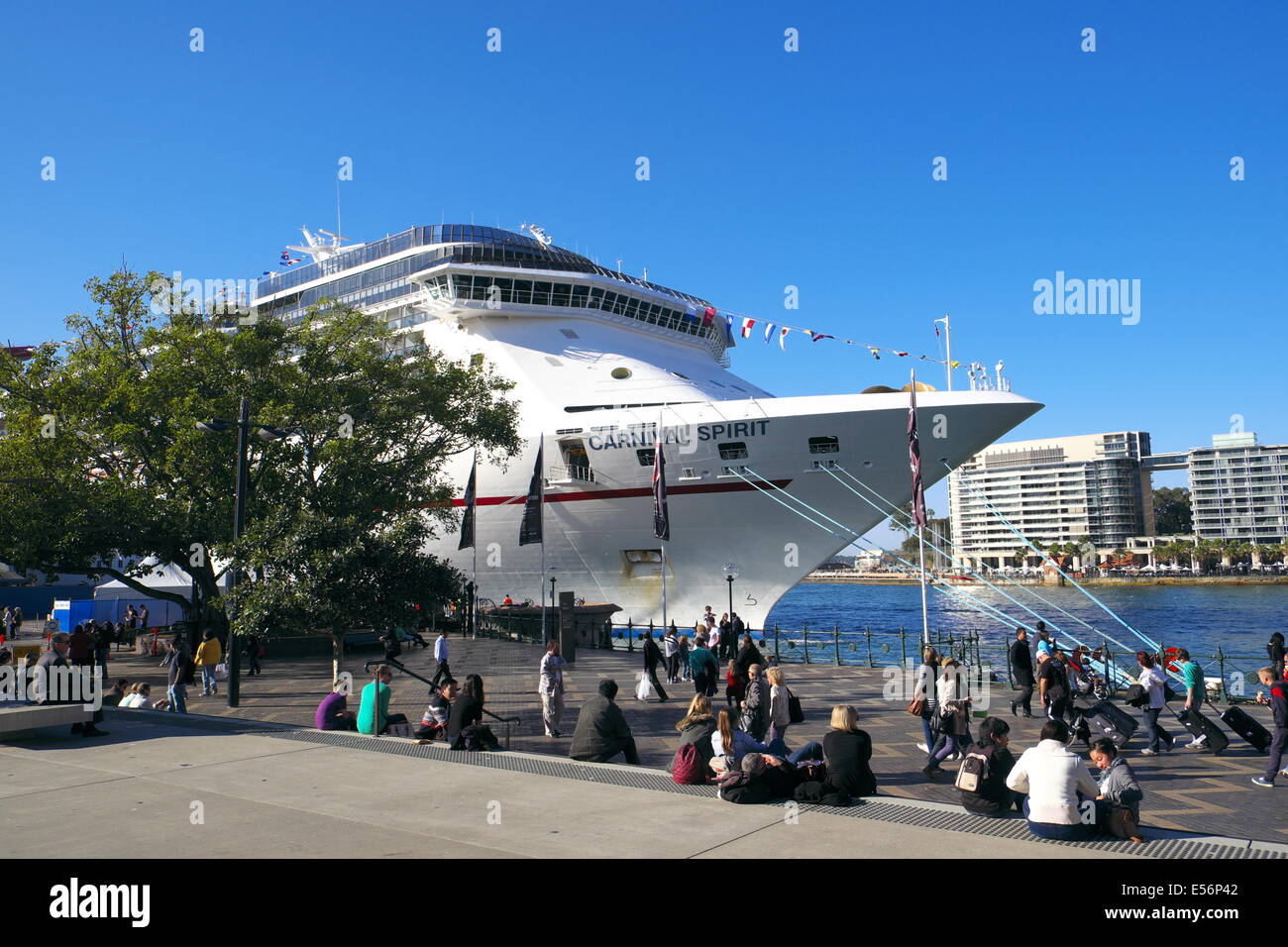 Nave da crociera Carnival Spirit ormeggiata a Circular Quay, Sydney, NSW, Australia Foto Stock