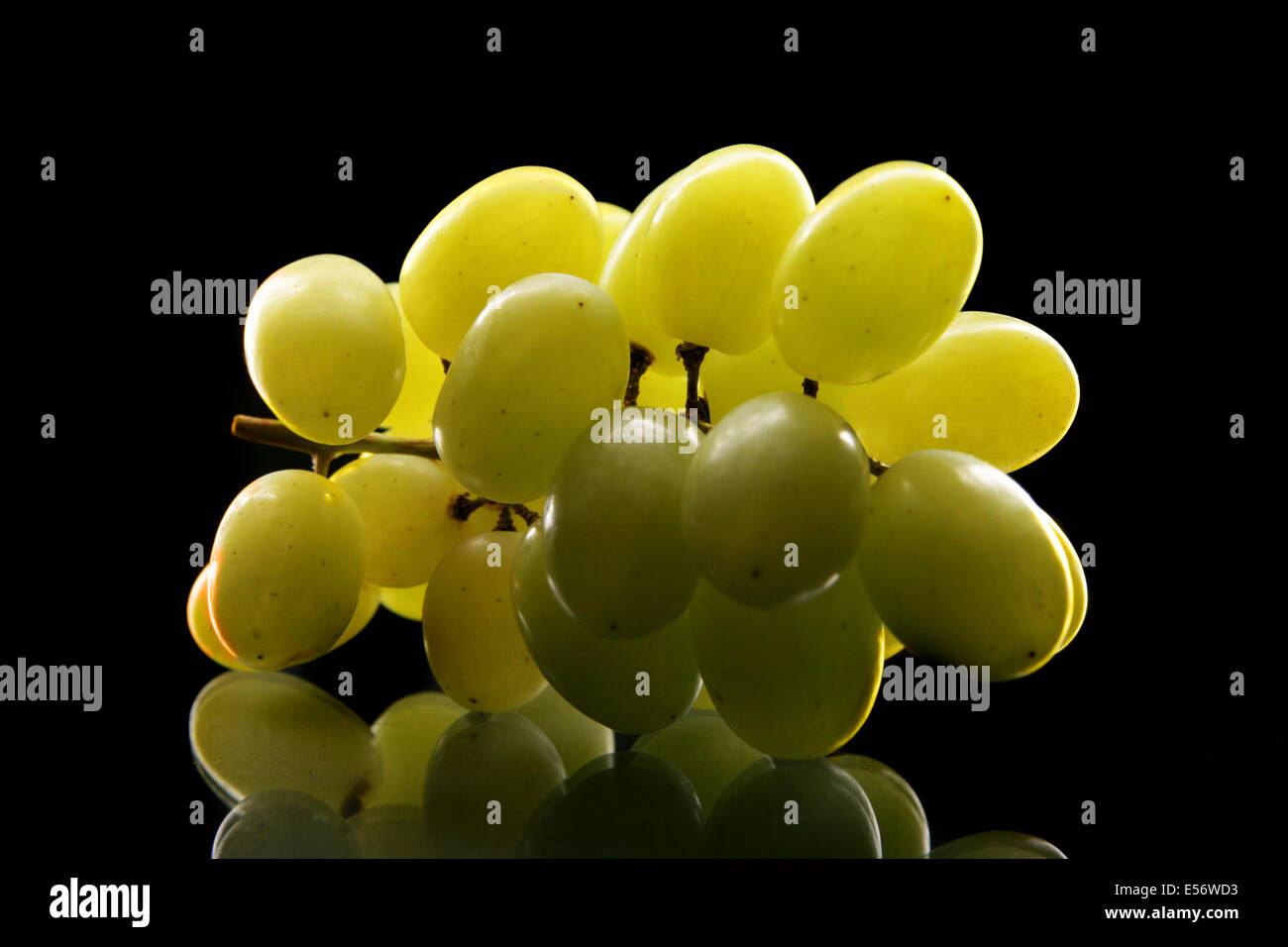 Grappolo di uva close up su sfondo nero Foto Stock