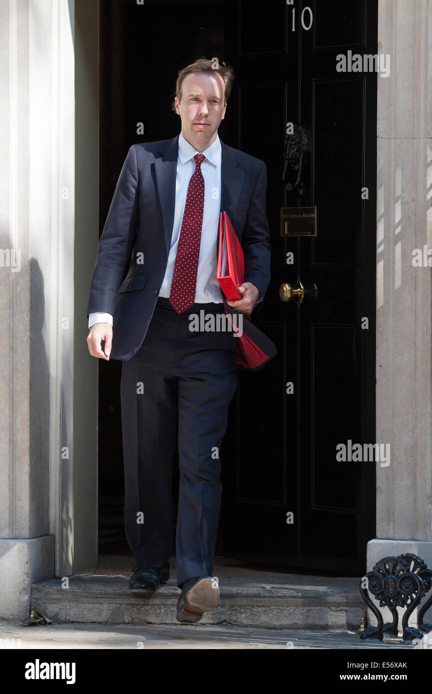 A Downing Street, Londra, Regno Unito. 22 Luglio, 2014. Ministri frequentare il settimanale riunione del gabinetto al 10 di Downing Street a Londra. Nella foto: Matthew Hancock. Credito: Lee Thomas/Alamy Live News Foto Stock